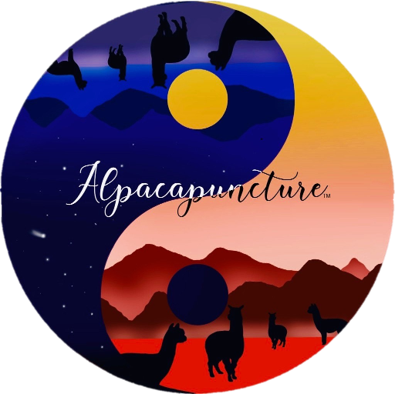 alpacapuncture