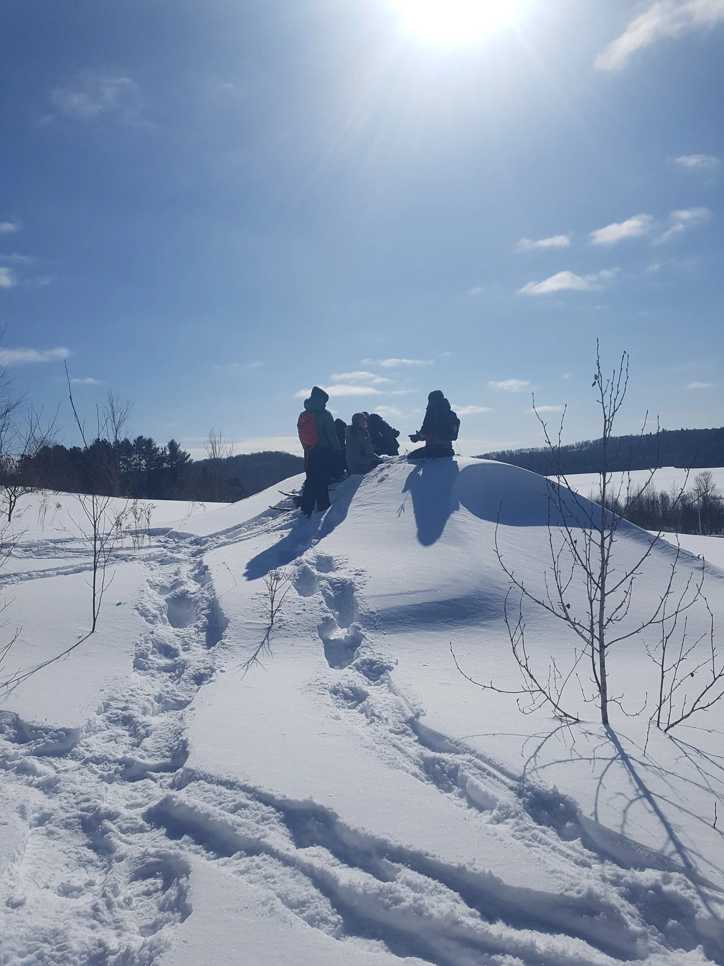 Wildlife tracking club