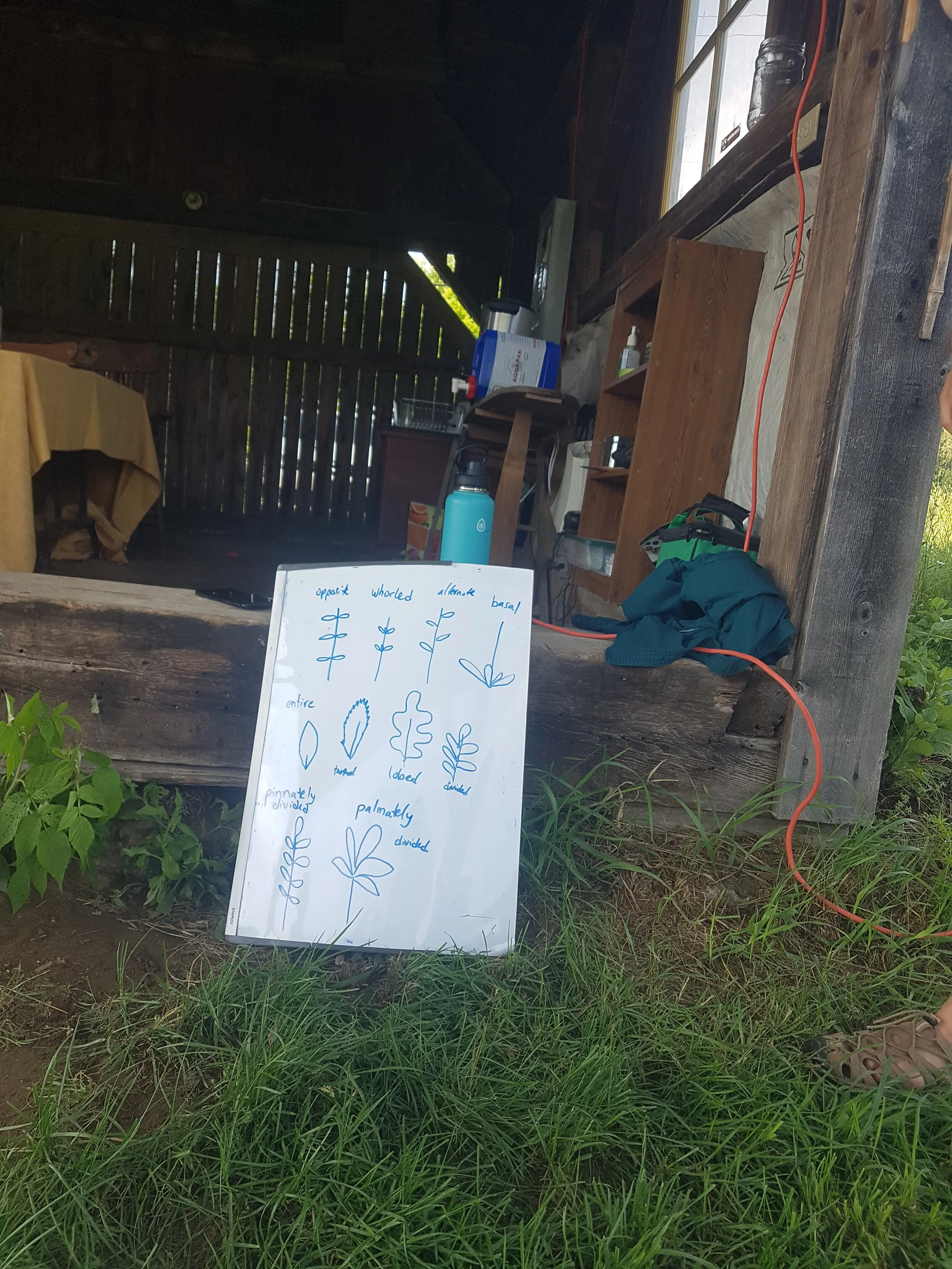 Meet &amp; Greet (&amp; the Barn)