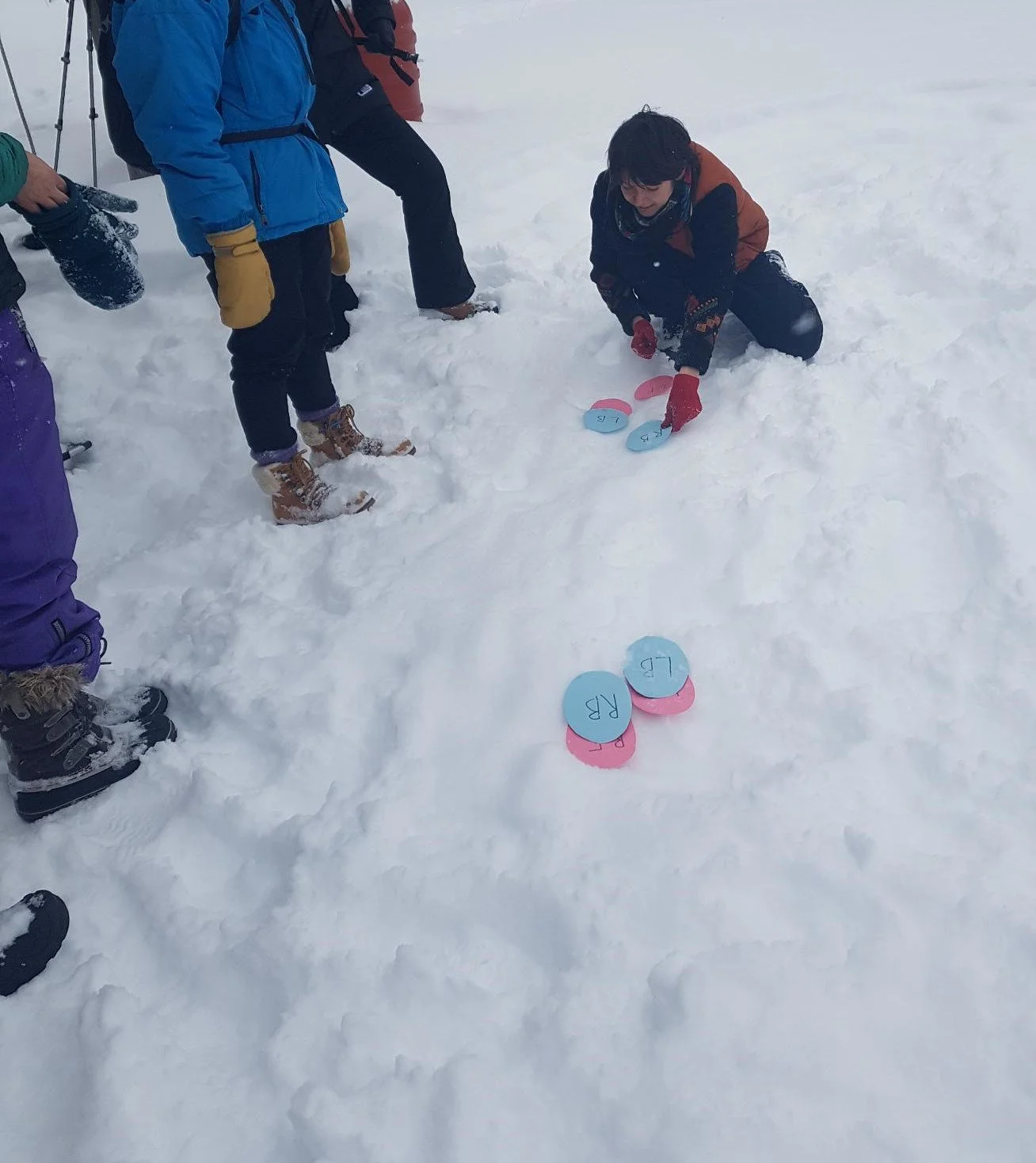 Intro to Wildlife Tracking