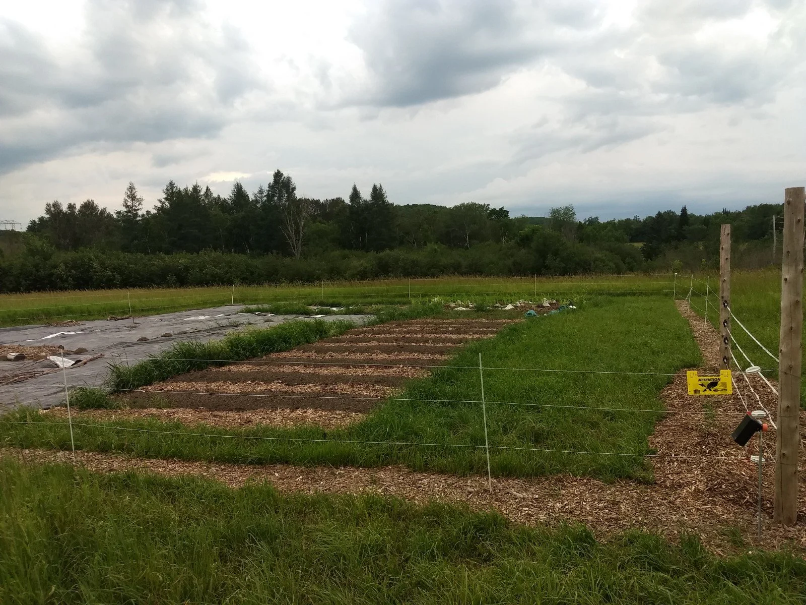 Community garden volunteer day