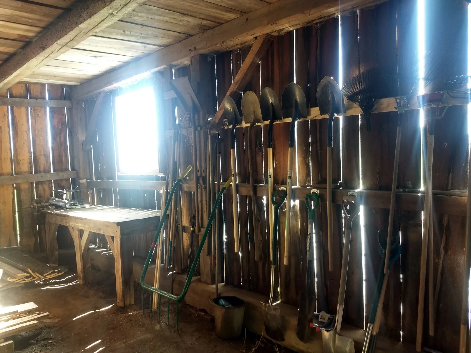 Tool library volunteer day