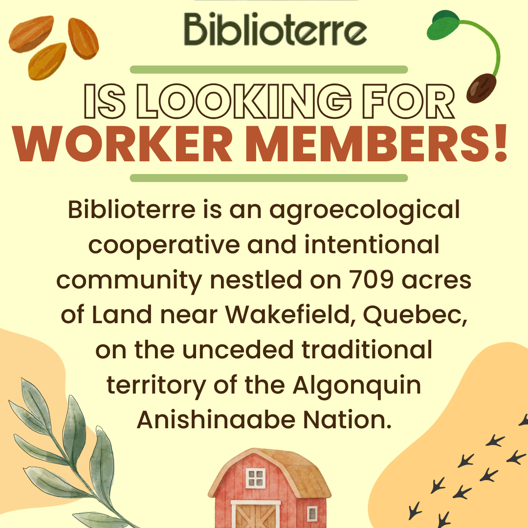 We are looking for new members! 