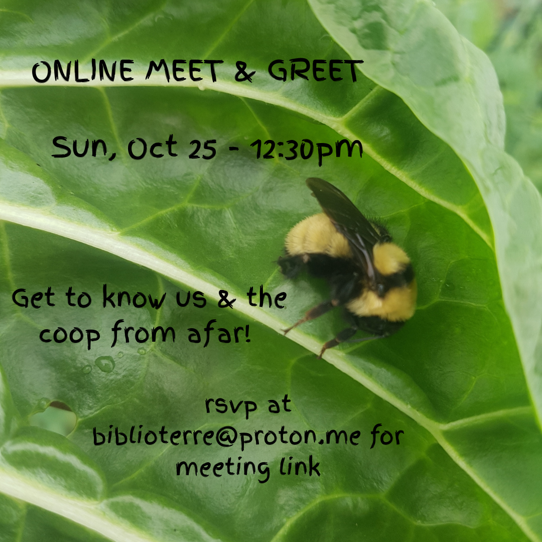 Online Meet and Greet
