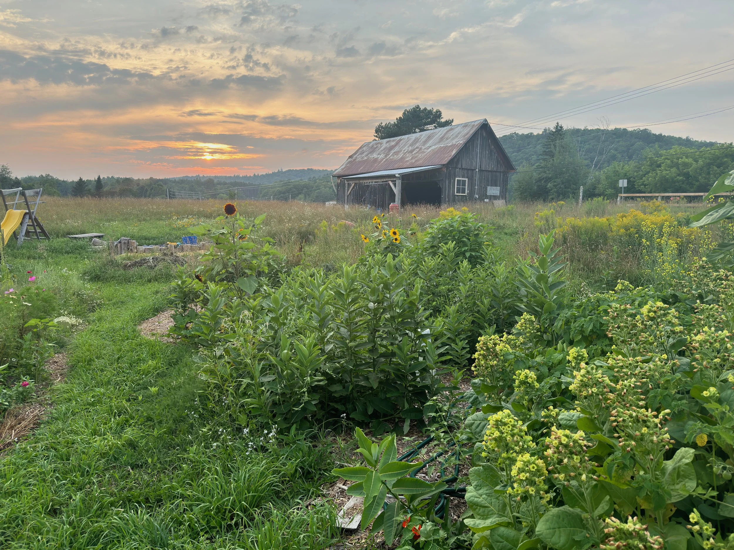 Gardens Volunteer Day
