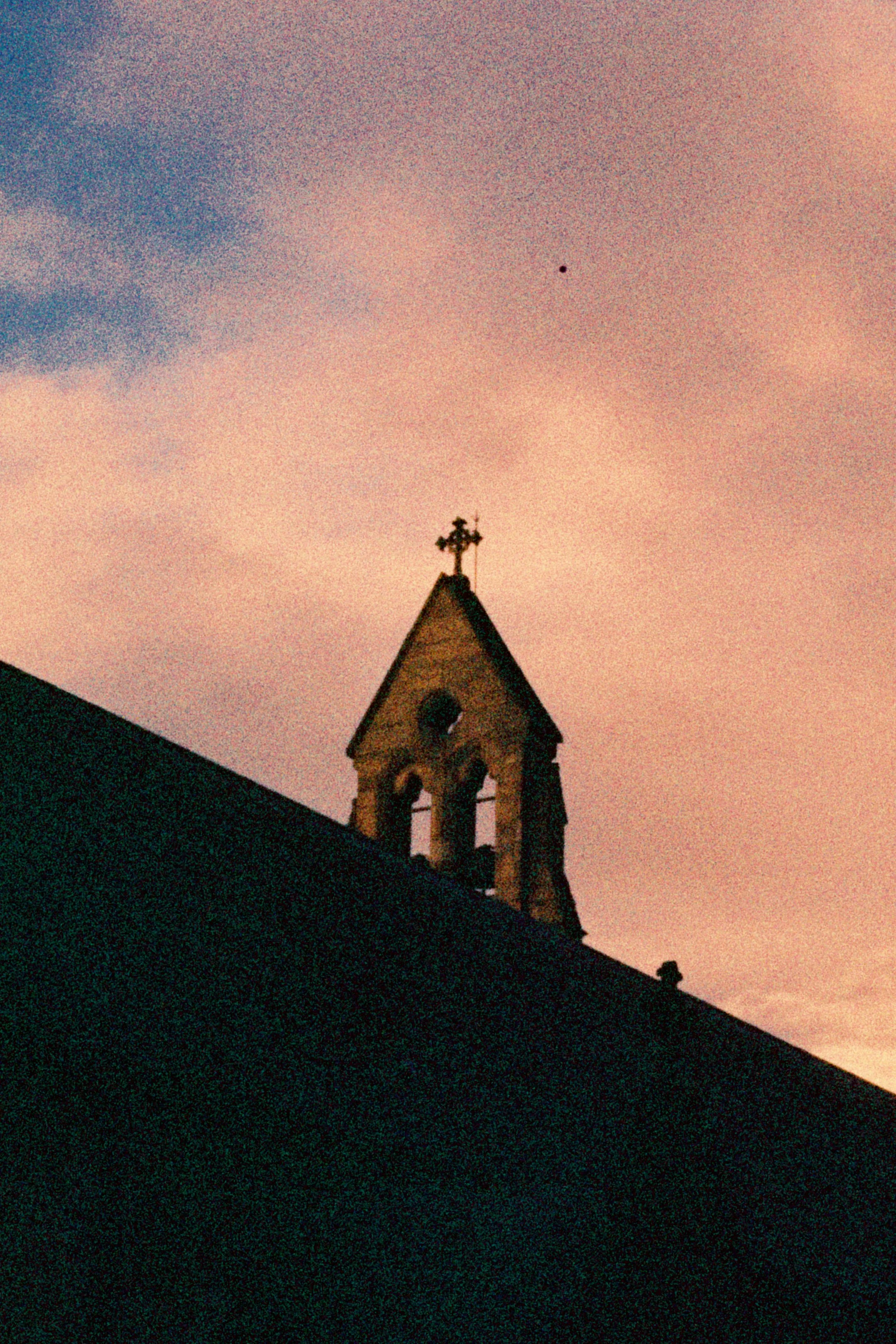 IMG_7038.jpeg