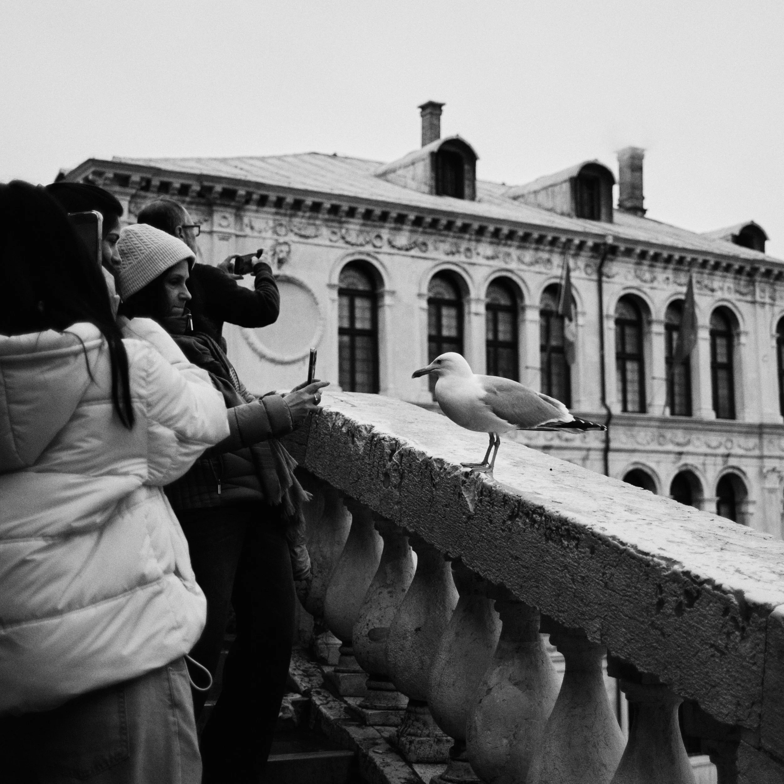 DSCF6560.jpg