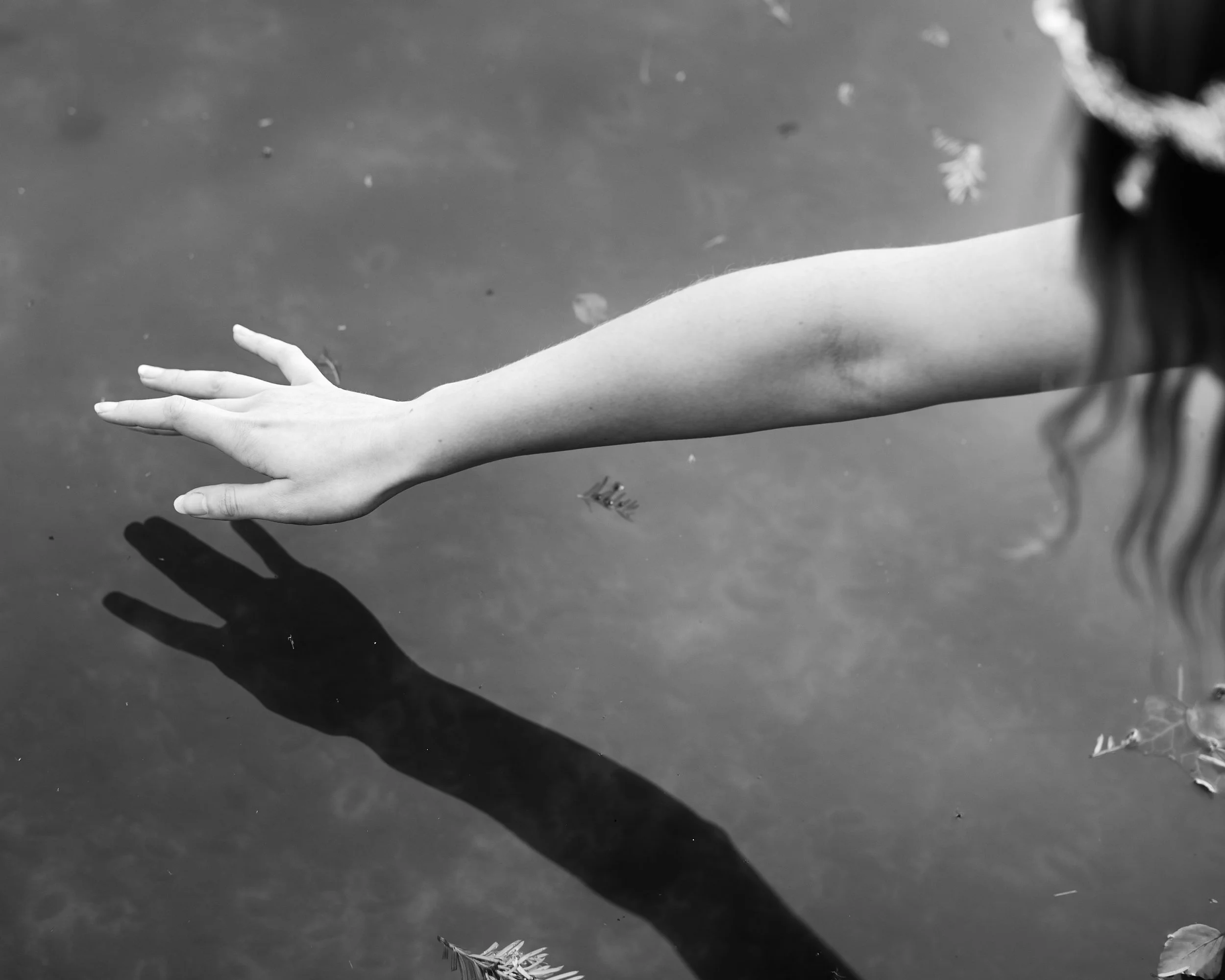 Fairies_020.jpg