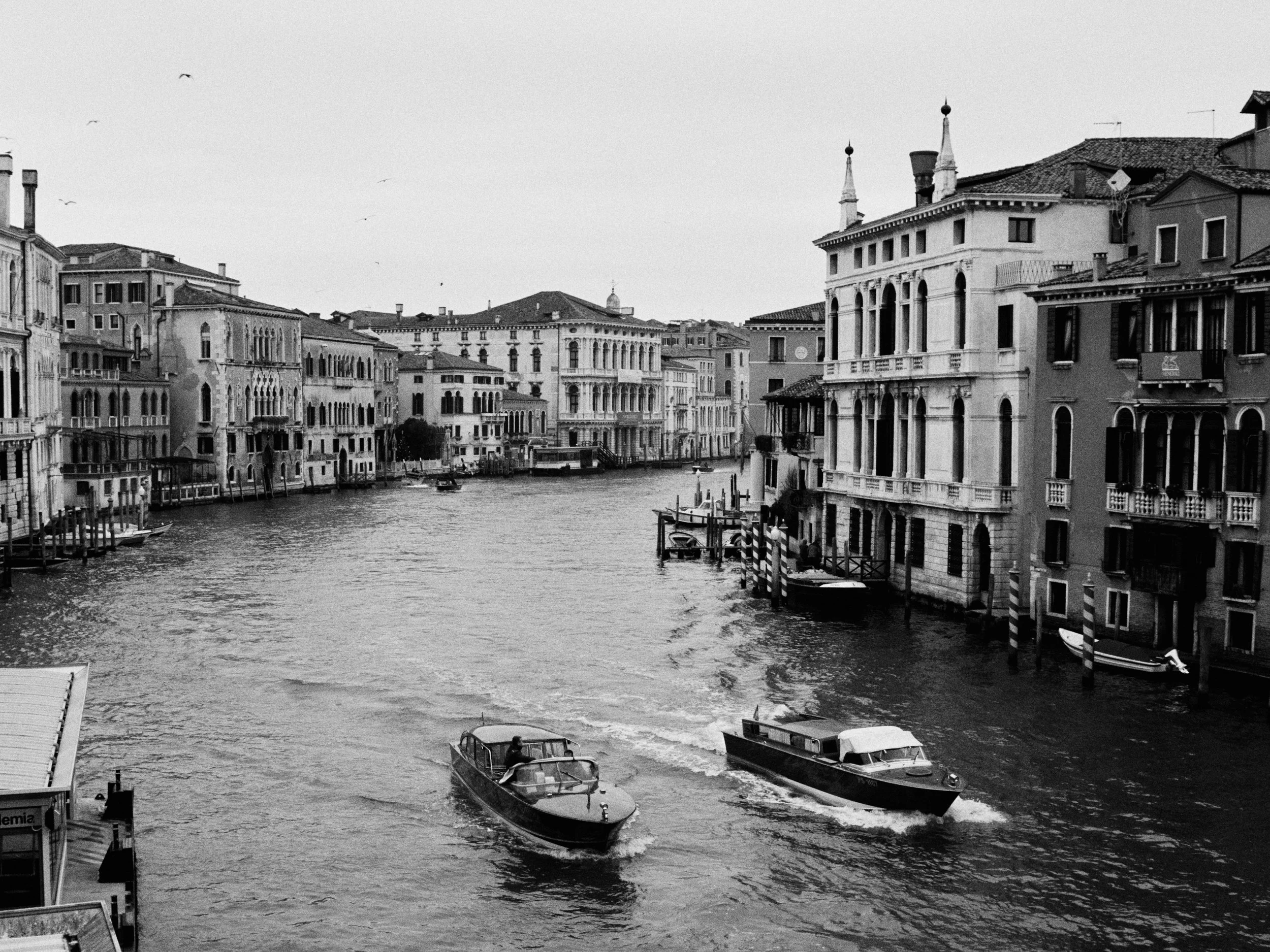 DSCF6384.jpg