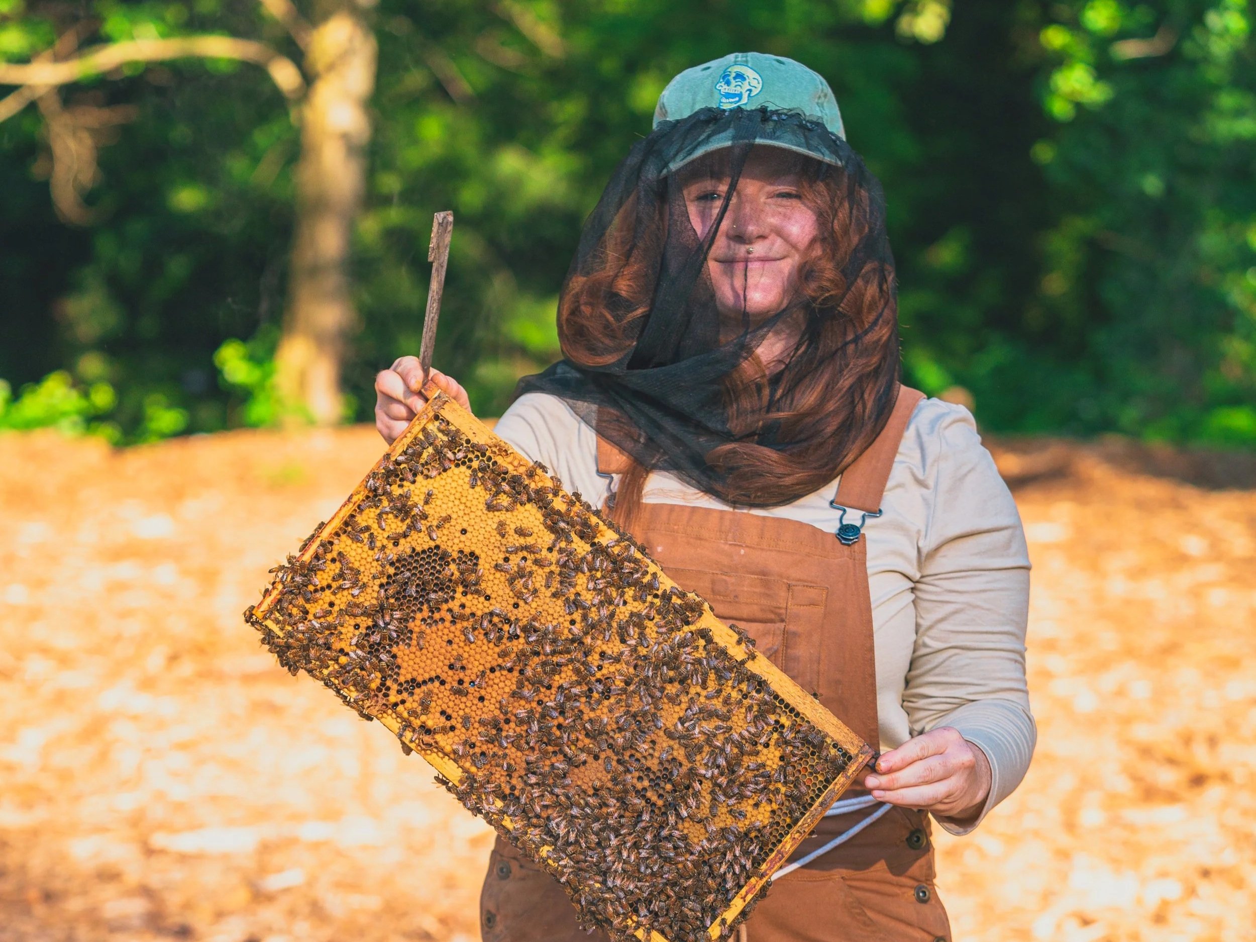 Close-up of a colony of honeybees on a wooden surface.