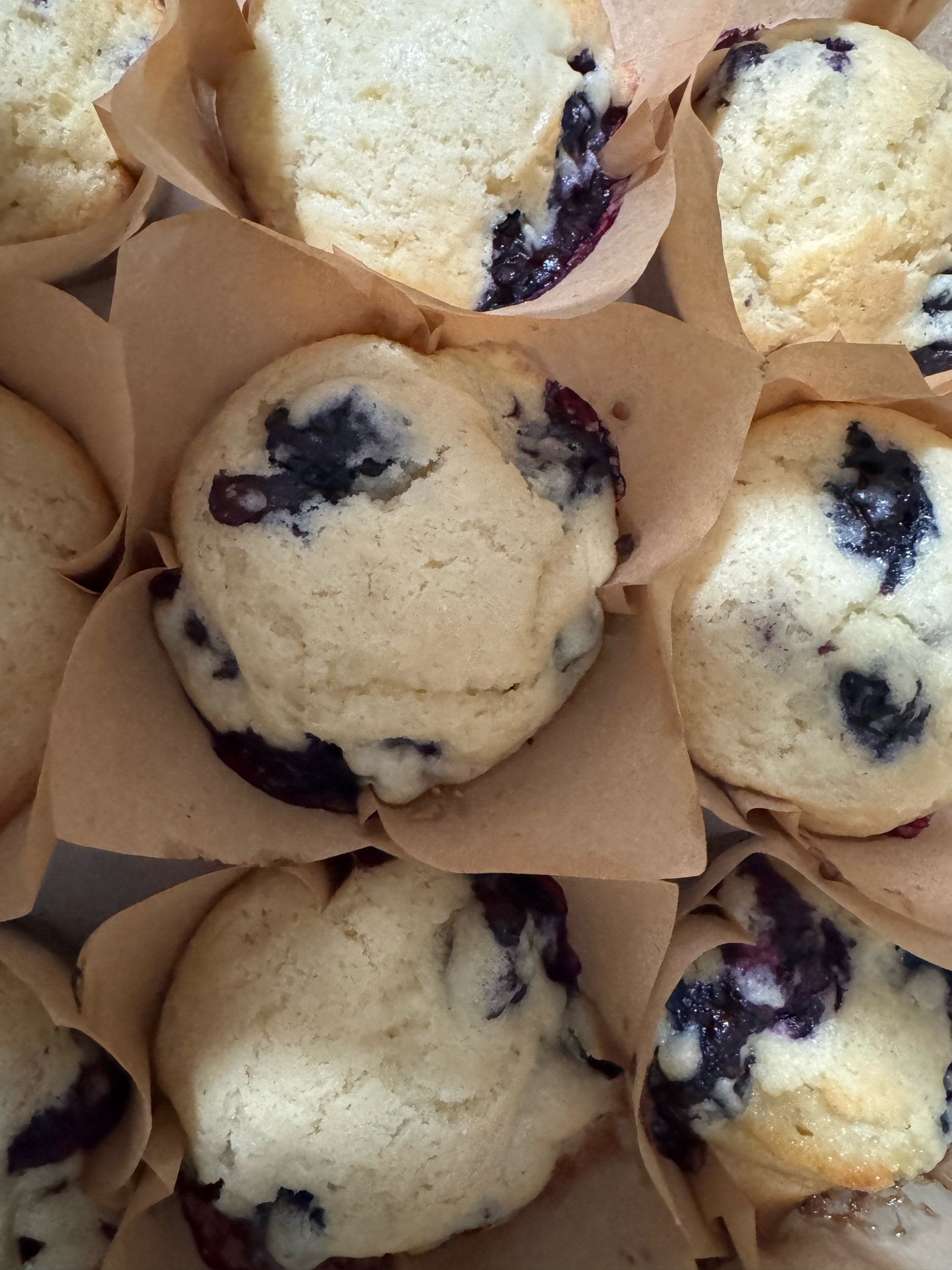 Muffins (12)