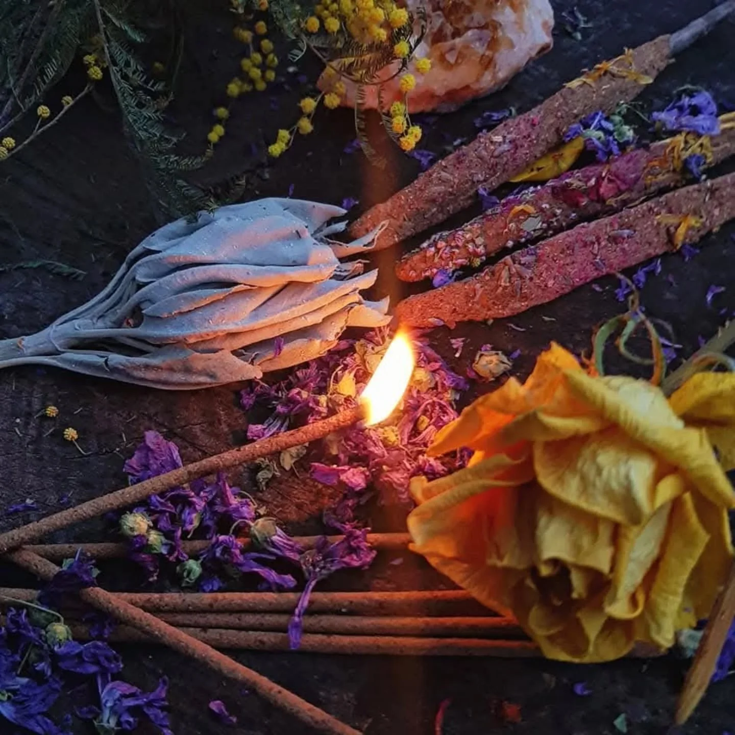 🔥 PURE PLANT INCENSE 🔥

One way of cultivating a deeper connection to the plant kin and song of our bones is to sit with the Spirit of Incense. 
::
Smoke travelling up towards the heavens, carrying our prayers.
Moving from material matter to ethere
