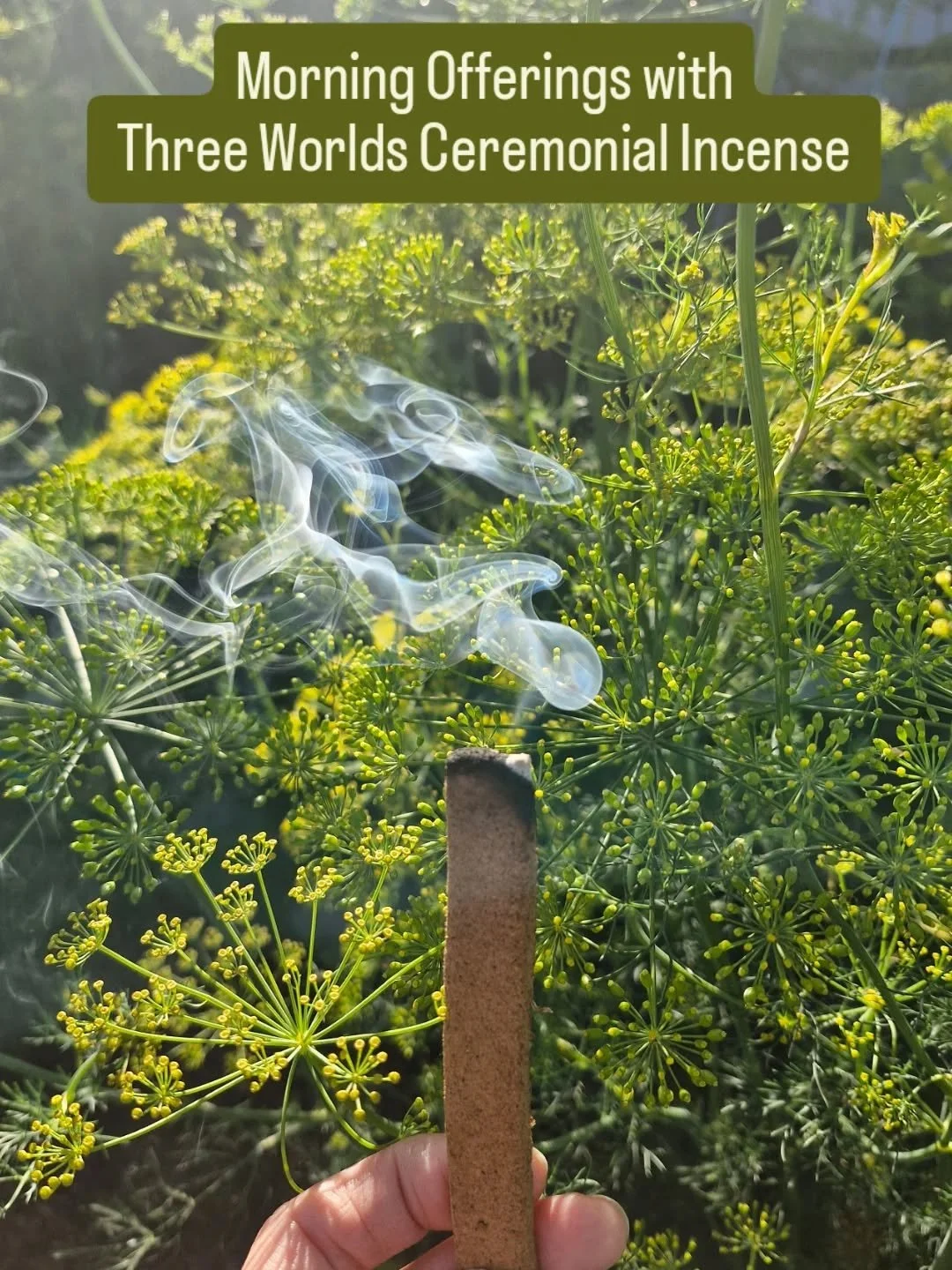🌳 THREE WORLDS CEREMONIAL INCENSE 🌳

These shards are perhaps the most energetically powerful incense that I craft. 
::
Hand ground powders of home grown Grandfather Sage and other land holding botanicals. 
:: 
I'm learning that this land is Willy 