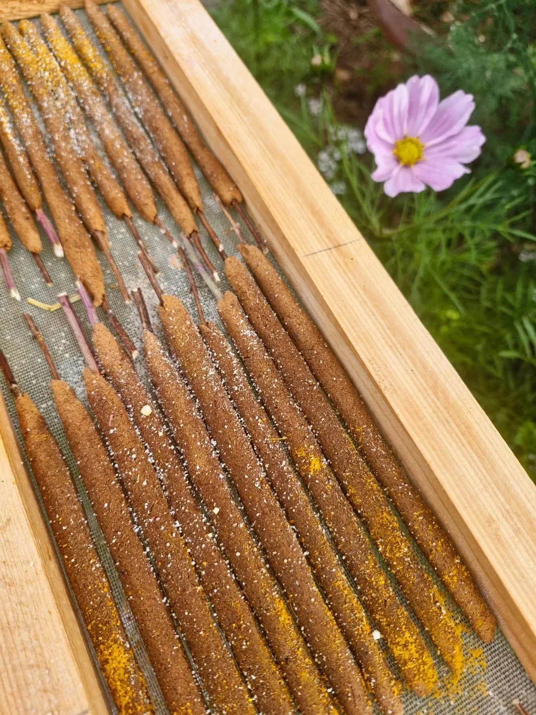 💛🧡 SPICED EARTH INCENSE STEMS🧡 💛

100% BOTANICALS
NO synthetics
Zero essential oils 
::
Just plants
Spices
Barks
Roots
Fruits 
::
💛
Hand rolled onto Oregano Stems
::
And dusted with Jamu, a traditional Indonesian medicine drink.
💛
It's about to