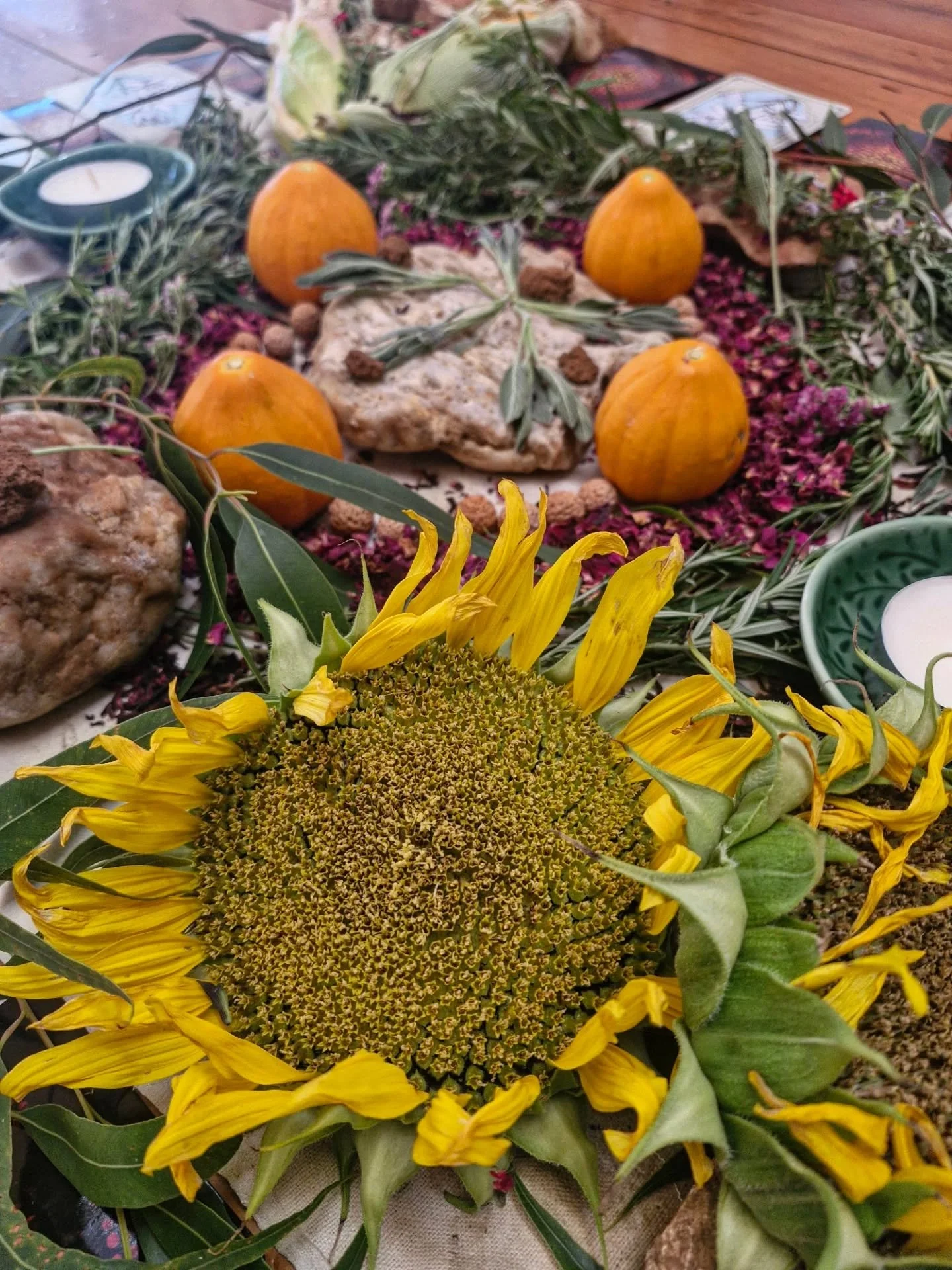 🤎 MOMENTS OF PAUSE 🤎

There are moments of pause I am giving breath to, in-between walking this sacred threshold.
Sitting with the withering of time. 
The bloom becoming the seed. 
::
Cacao leading the way. 
One sip at a time. 
Although cacao is no