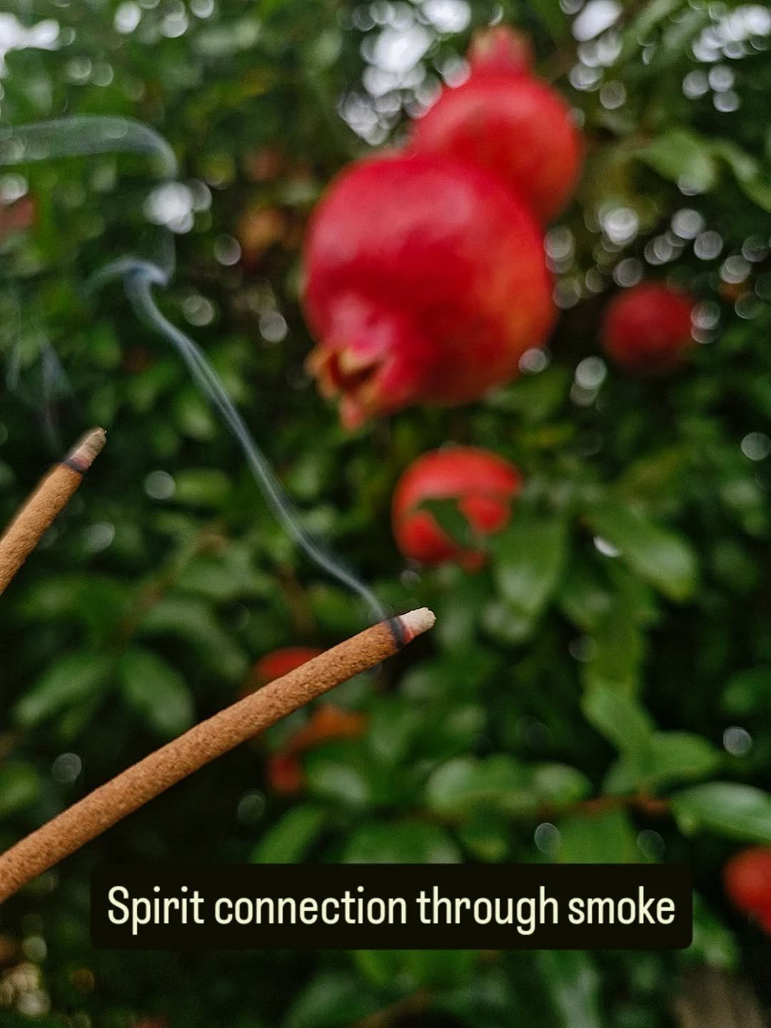 ❤️&zwj;🩹 
I've been lighting a candle every night since Dad crossed over. 
Offering fragrant smoke of ancestral herbs daily. Usually on sunrise and sunset, one smouldering stem in each direction.
::
The in-between worlds. 
A place of re-pivoting, ye