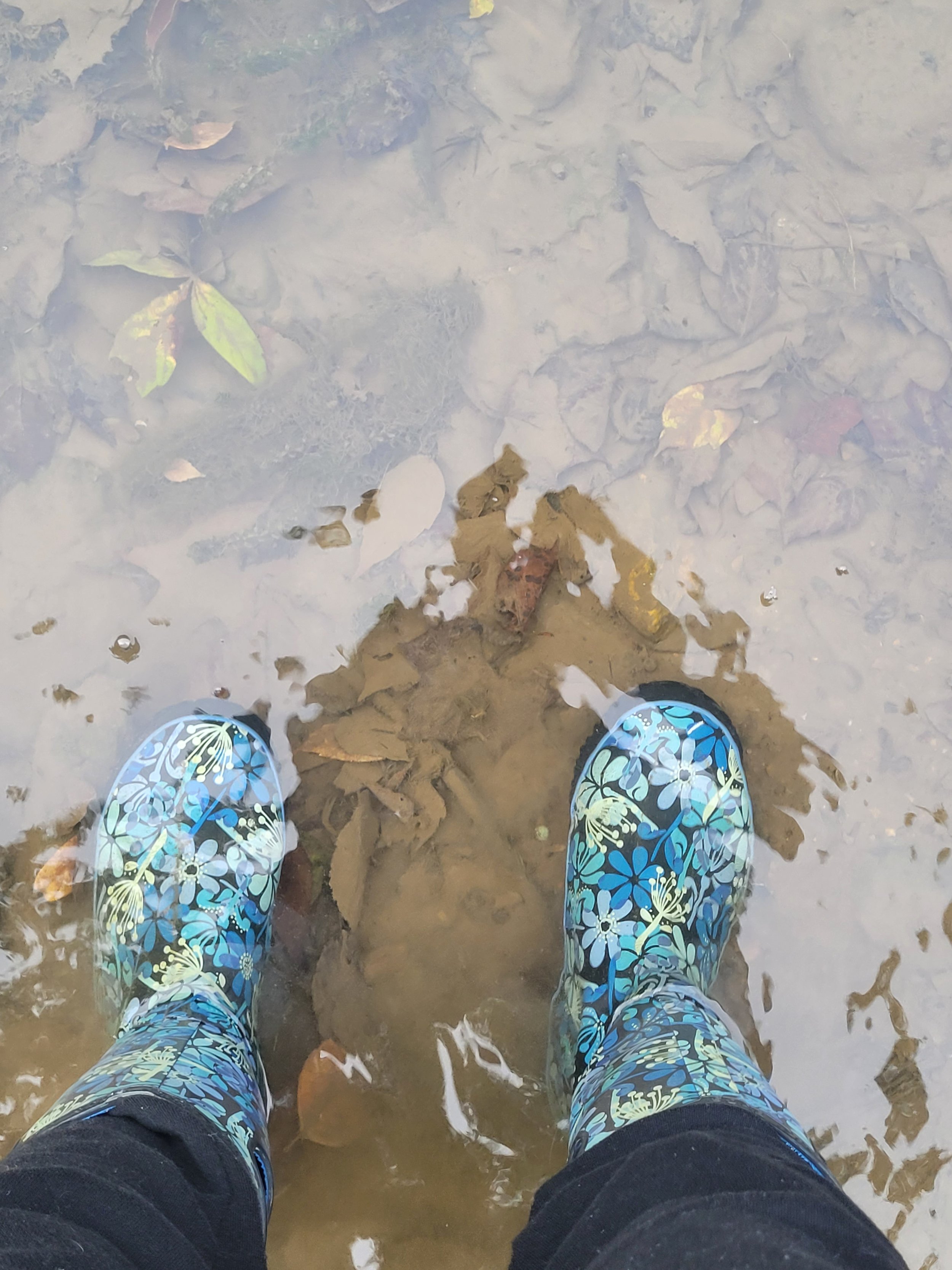 Back to Nature