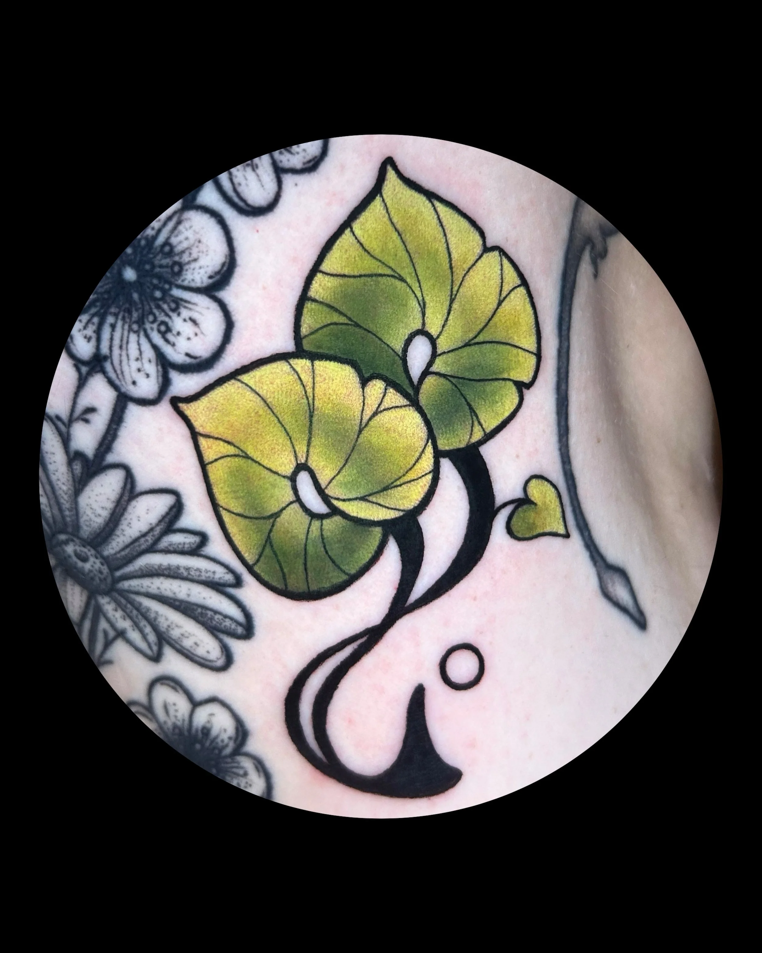 Katsura 🌿

From my Botanical Flash - Roll the dice and get what you get! Sweet gap filler for @chuuyazai.cosplay ✨ Thank you so much for taking the chance on getting one of these guys! It&rsquo;s always good getting to see you and add more things fo