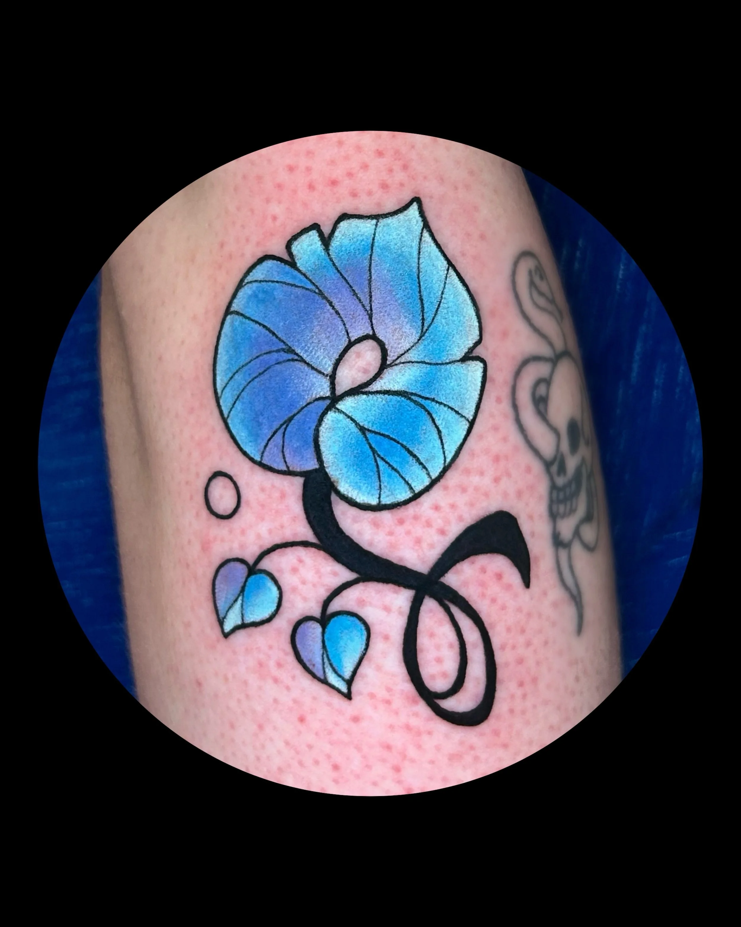 🩵✨

15 from my Botanical Flash - Roll the dice and get what you get! ✨ Very neat blue purple combo was chosen by Lizzy! Thank you so much to you and Mathew for taking the chance on getting one of these guys!

#milwaukeetattooartist #flashtattoo #mil