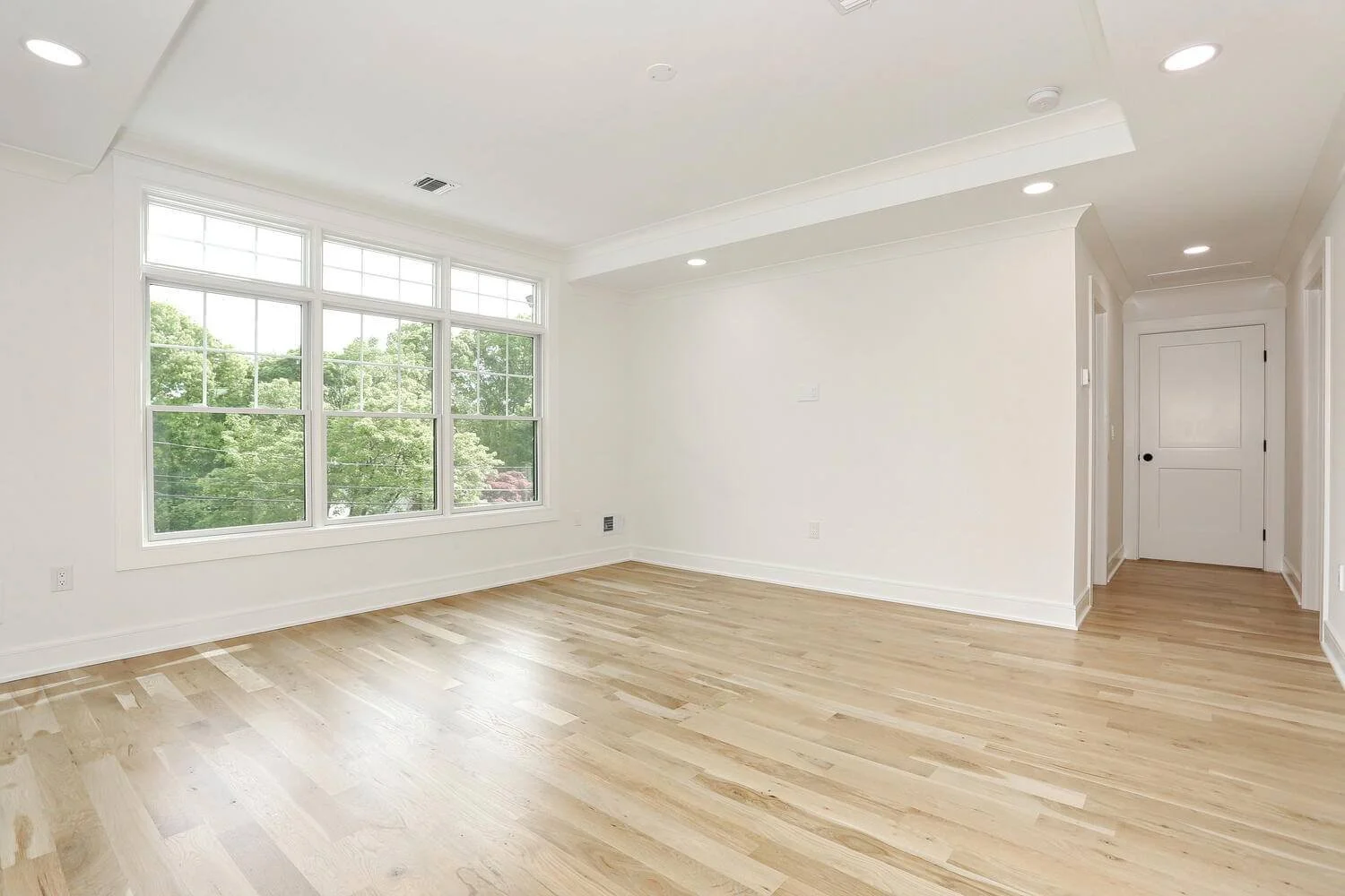 Bright primary bedroom with tray ceiling, hardwood floors, and hallway entry in a Park Ridge modern farmhouse by Dadak LLC.