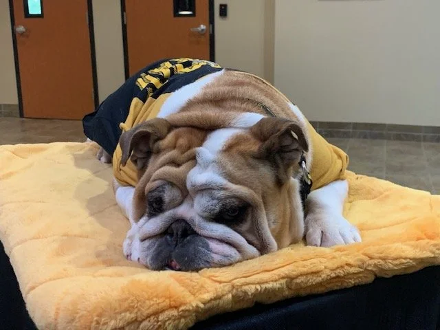 IMG_3739 . Talulah Mae.jpg