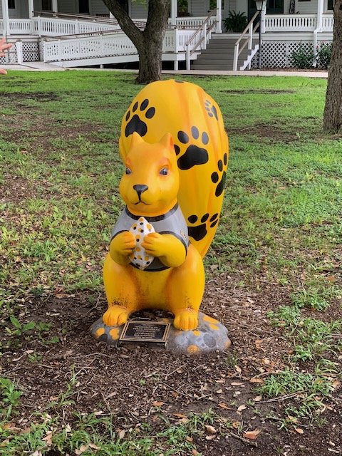 IMG_3747 . Seguin squirrel.jpg