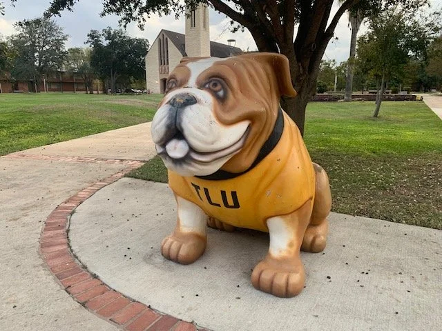 IMG_5707 . Lucky bulldog.jpg