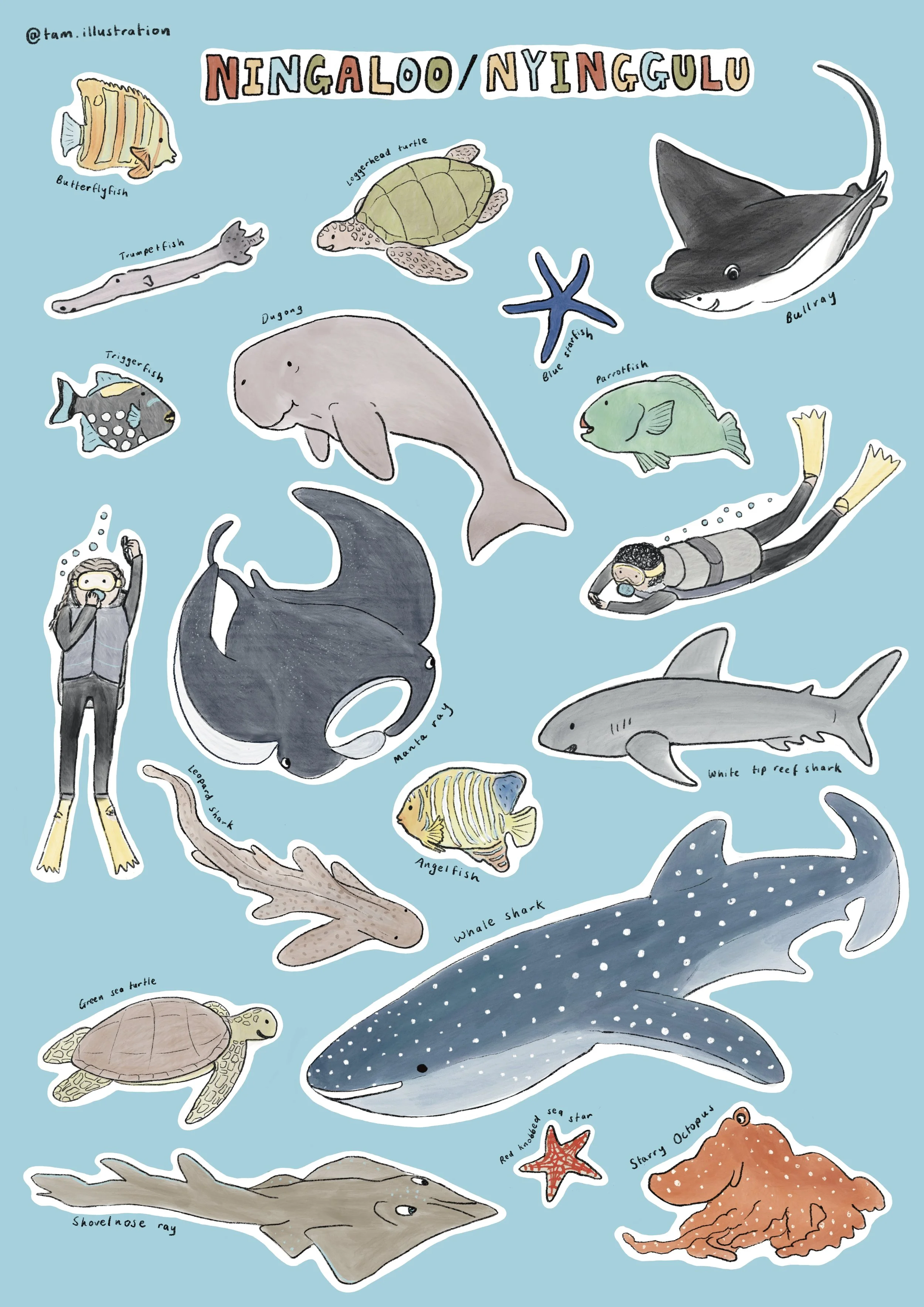 Ningaloo Reef sticker sheet