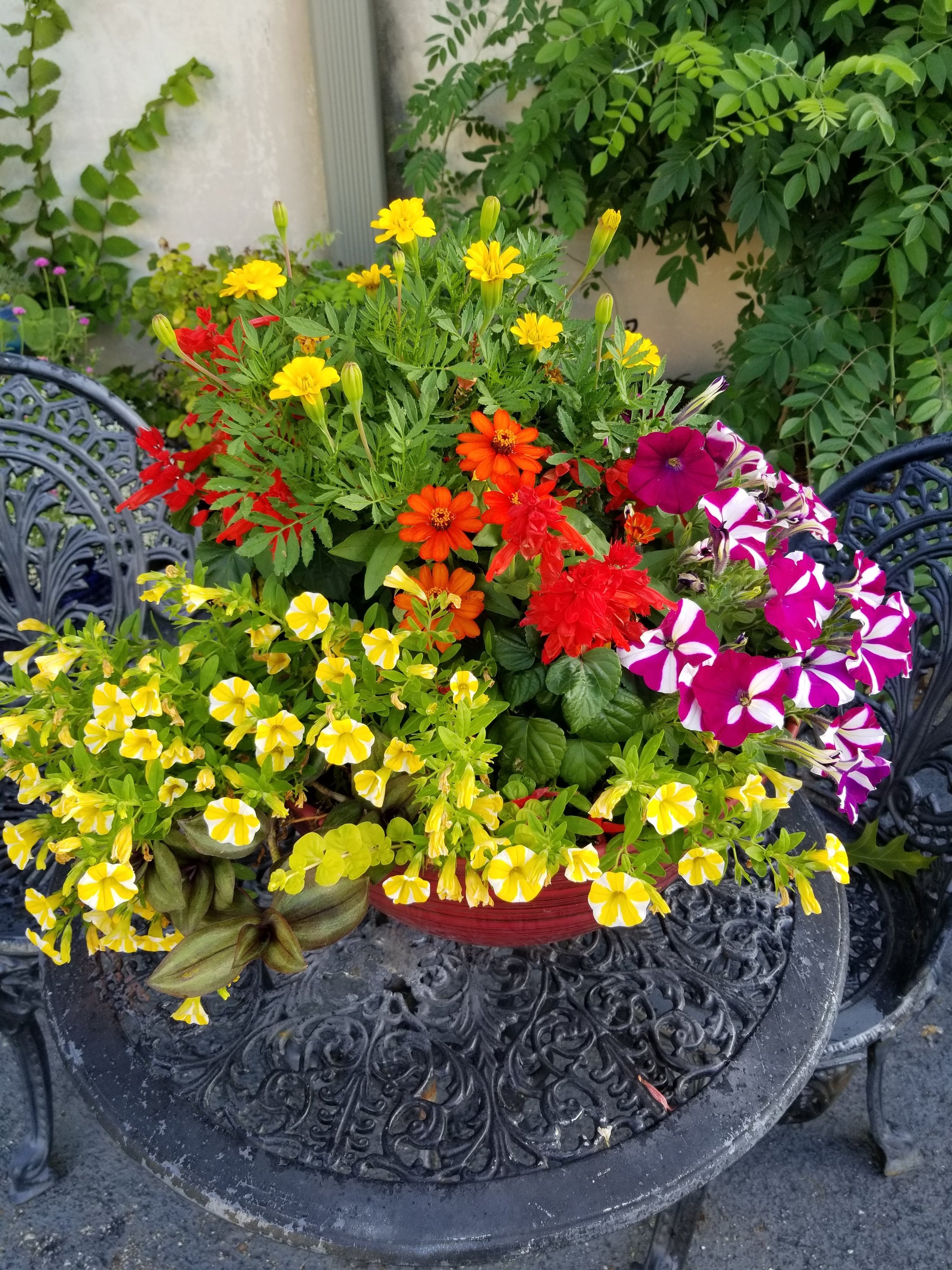 20190623_071525.jpg
