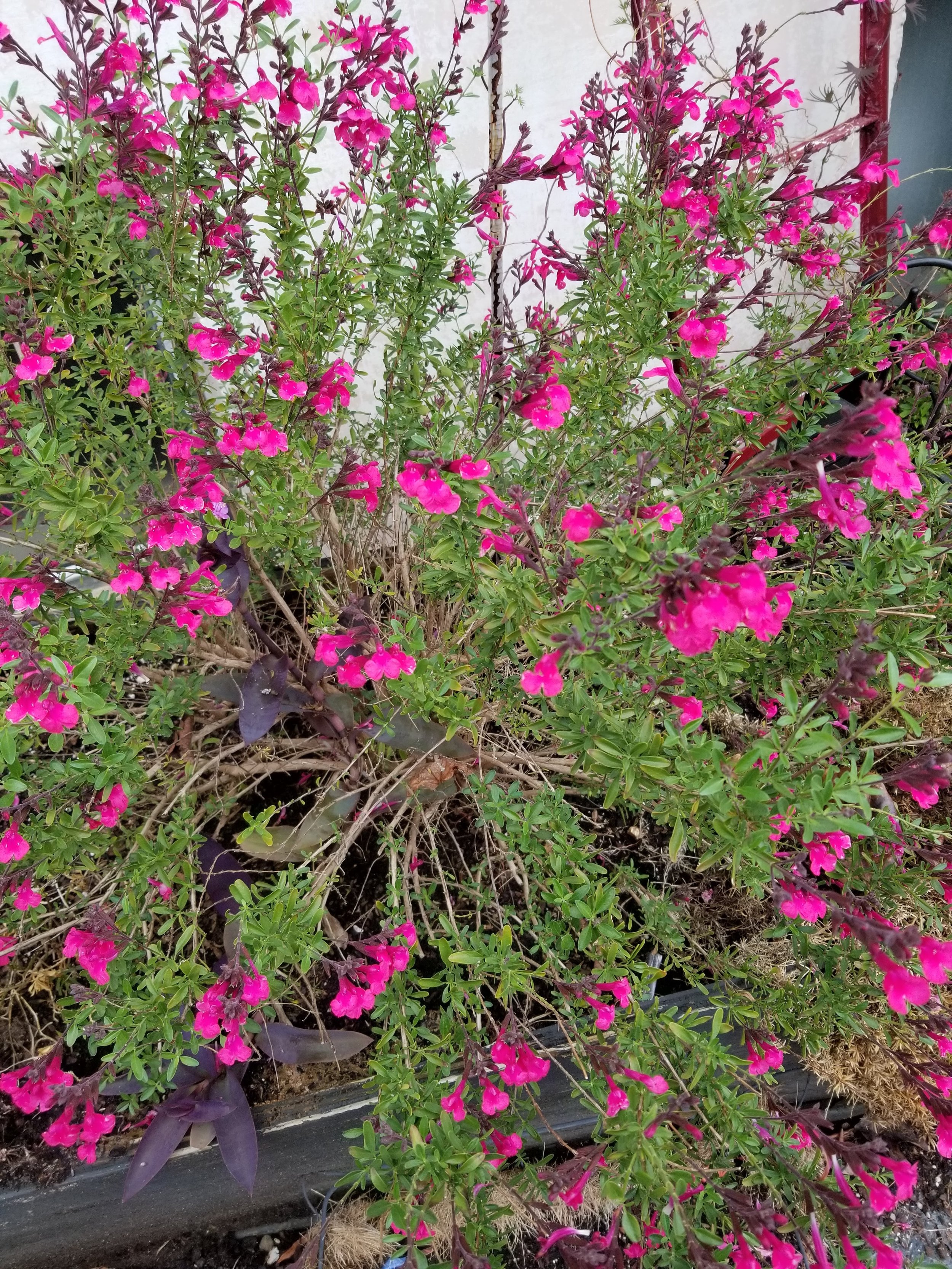 20191028_095512.jpg
