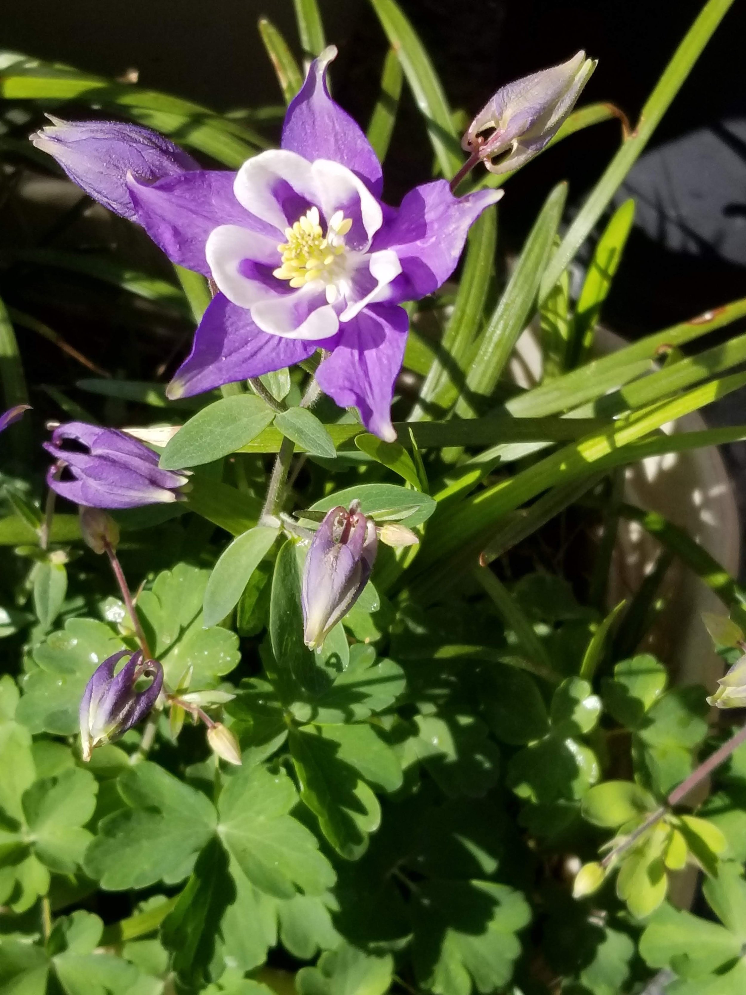 20190410_094439.jpg