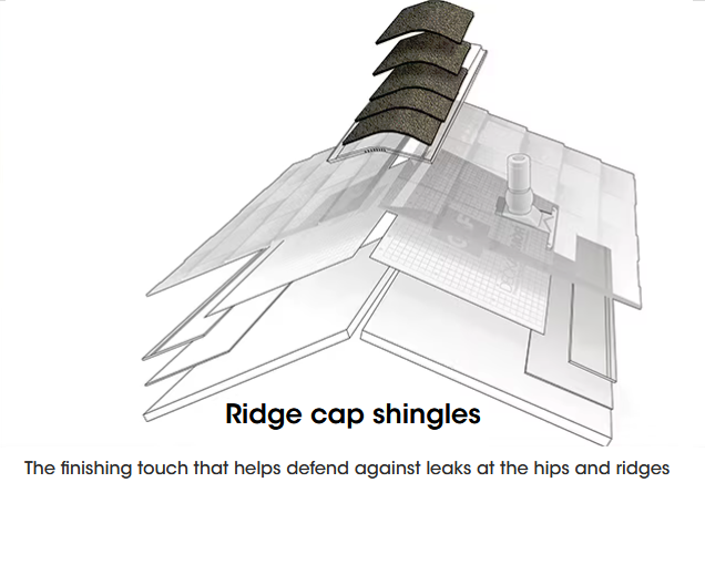 Ridge Cap Singles.png