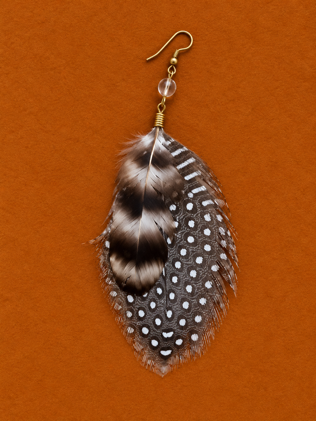 Grounding in Transformation | Mixed Feathers