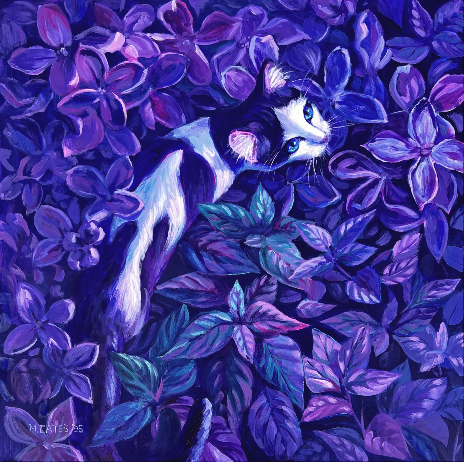 A tuxedo cat with a marking in the shape of a bird on her back slinks through a moonlit meadow of purple flowers