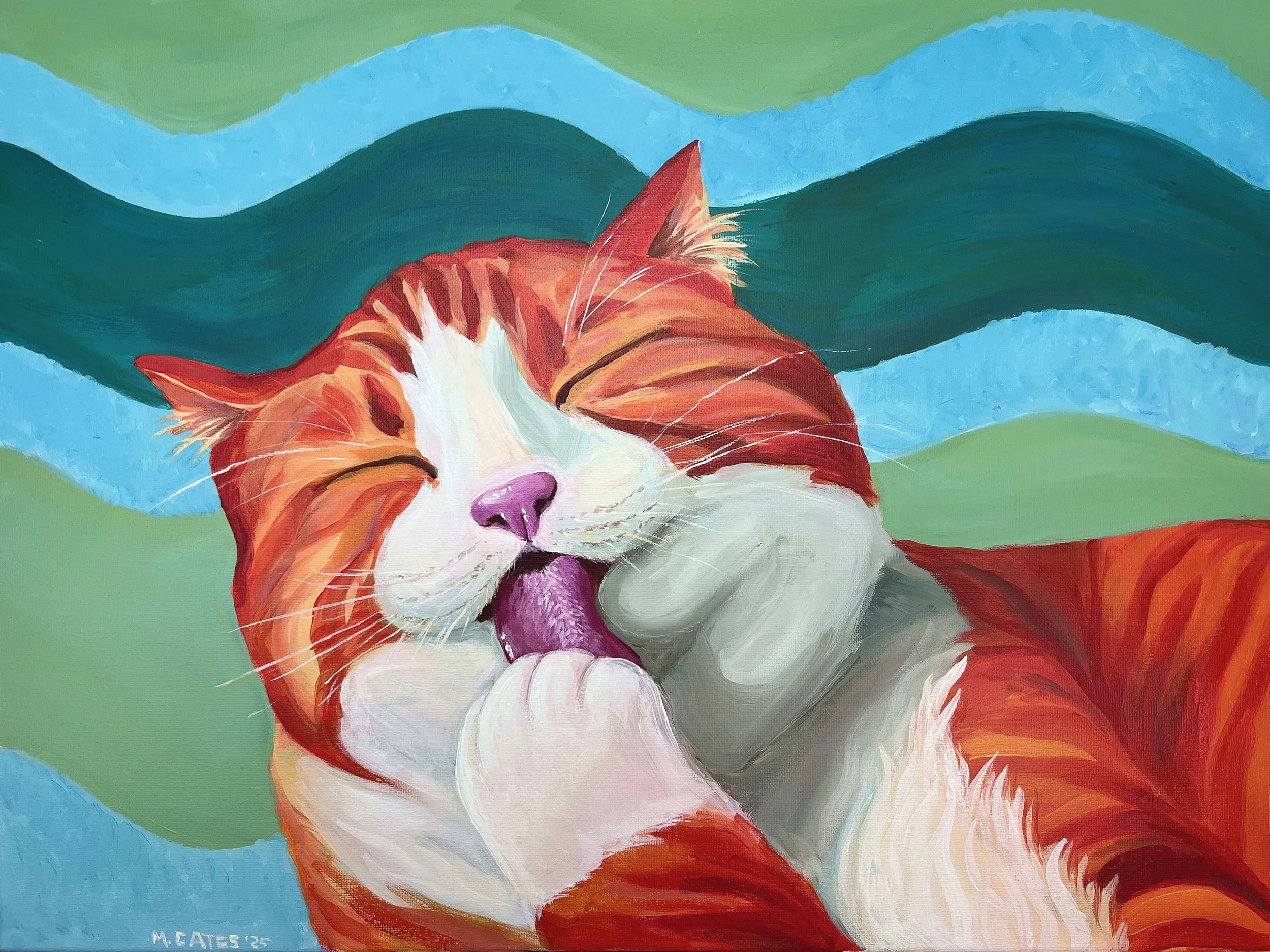 summer orange tabby.jpg