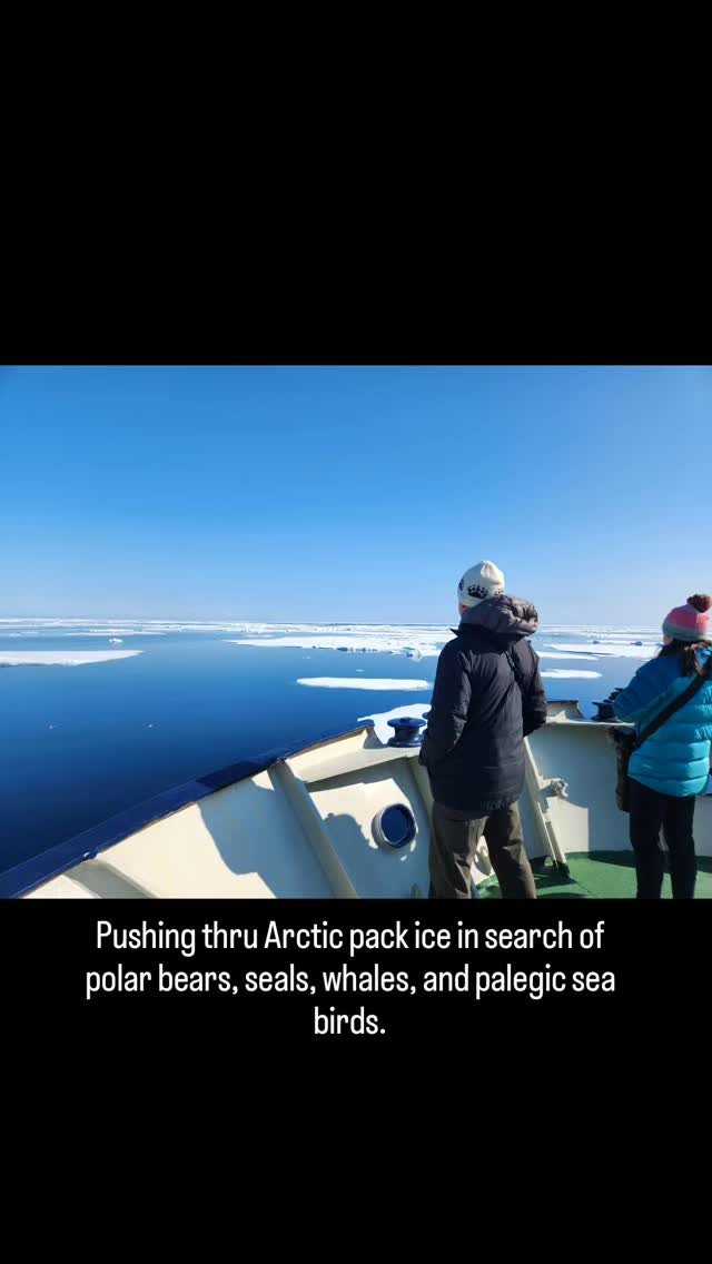 We left the town of Longyearbyen and immediately headed north to the pack ice. Our expedition leader Jonas explained our best opportunity to photograph polar bears would be on the pack ice and our best weather window to cross the open sea was happen