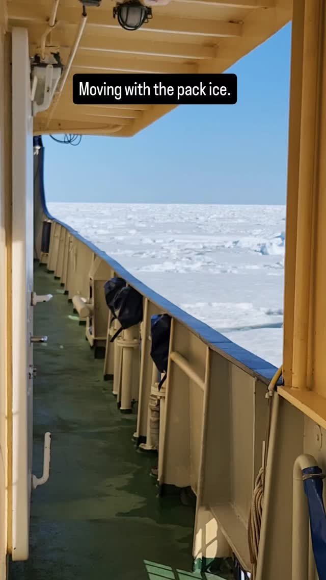 We had 4 days in the pack ice. It's a game of waiting and watching up there. We hoped for polar bears and other sea mammals, but there's never a guarantee with wildlife.
Spoiler alert: our patience did pay off!
#arctic