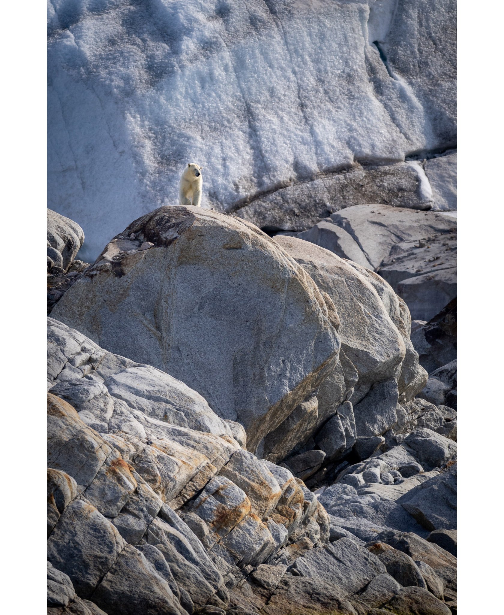 Surprise!
Our second day on the ship in Svalbard we pulled into a beautiful fjord - the water was so still we had gorgeous reflections of snow speckled peaks and glaciers dipping into the water.
We were all out on deck photographing and all of a s