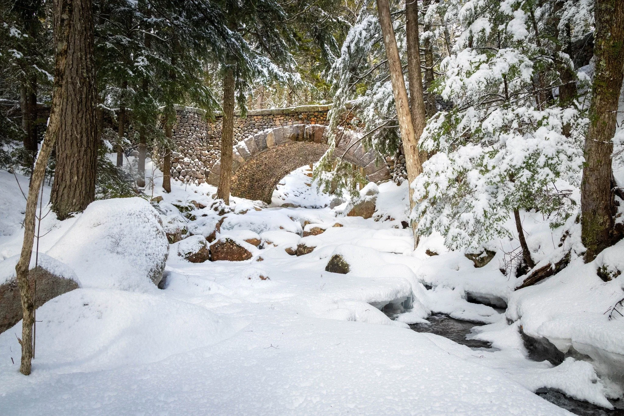 COBBLESTONE BRIDGE
ACADIA WINTER LANDSCAPES

There's still a little time left to sign up for my Acadia Winter Landscapes Workshop!

I love that we get the park practically to ourselves to capture image in the fresh snow. 

The dates are Jan 16 - 19 a