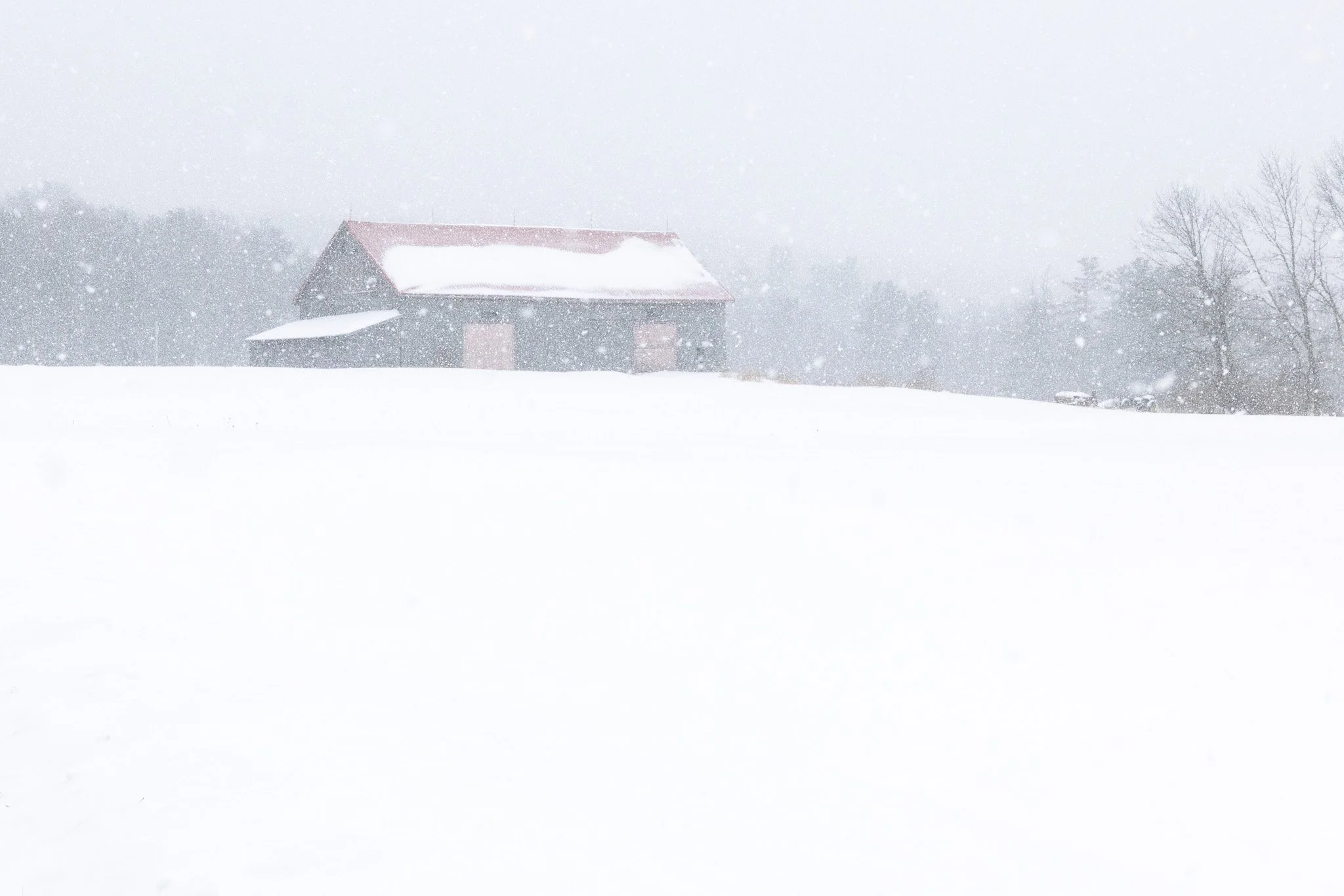 RED ROOF ON THE HILL
Eddington, Maine

Every time I pass this barn when it's snowing I want to stop and take a photo.  Today I had my camera and a fresh-plowed driveway near by so I jumped!

Canon R5 with the RF 28-10 f/2