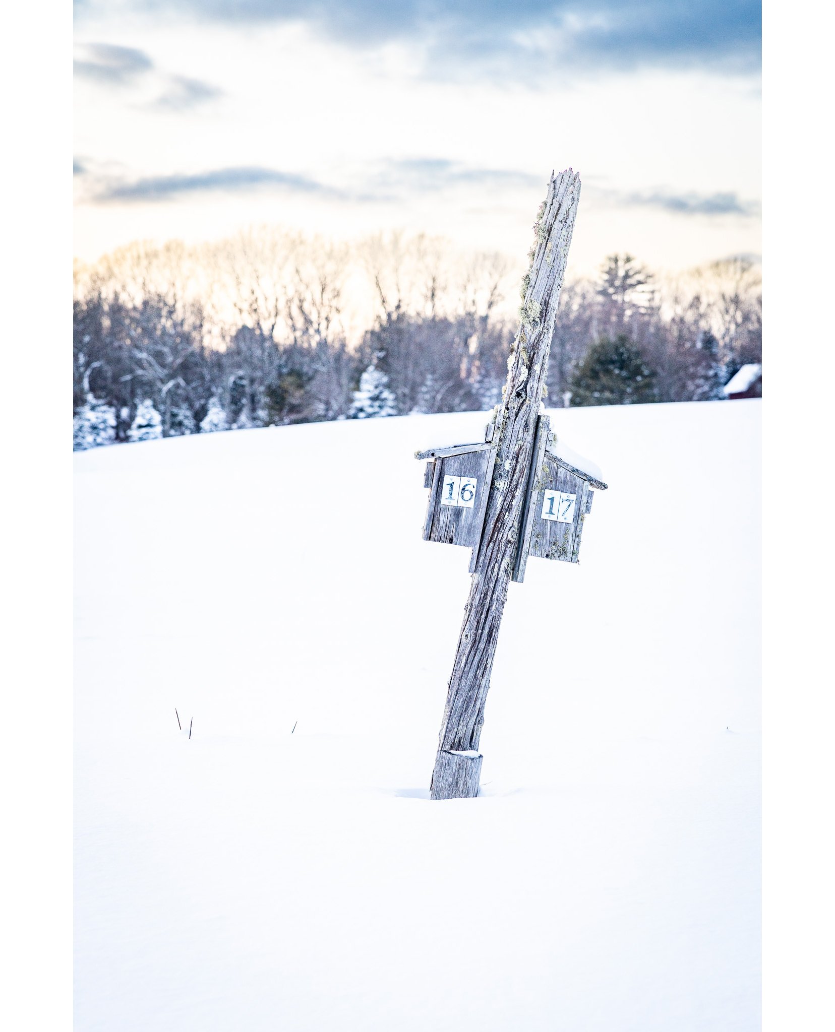 FIELDS POND - PHOTO REFLECTIONS - WINTER

Fresh snow. Tired legs. Big smiles.

A couple weeks ago we headed out for Photo Reflections at Fields Pond Audubon Center right after a snowstorm&mdash;and winter did not hold back. Deep snow, lots of laughte