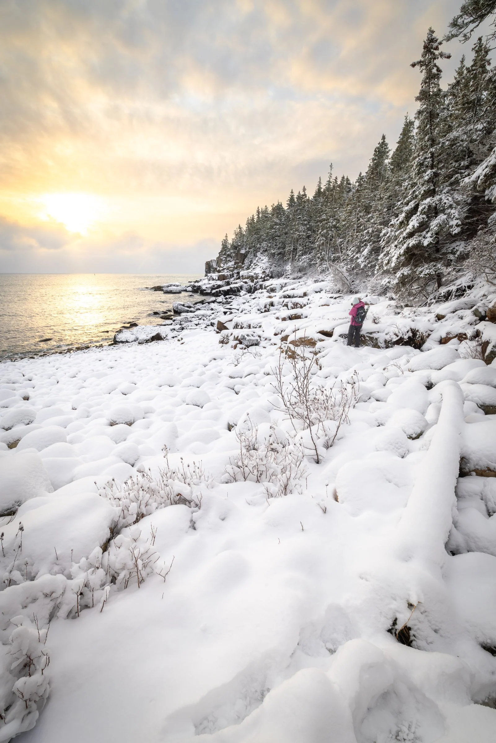 Winter Morning at Boulder Beach Acadia with diffused golden light