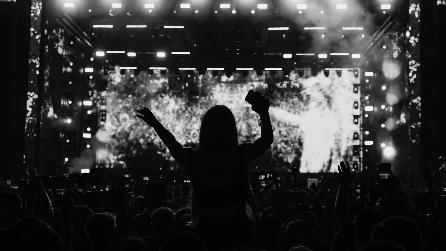 Festival crowd and event lighting
