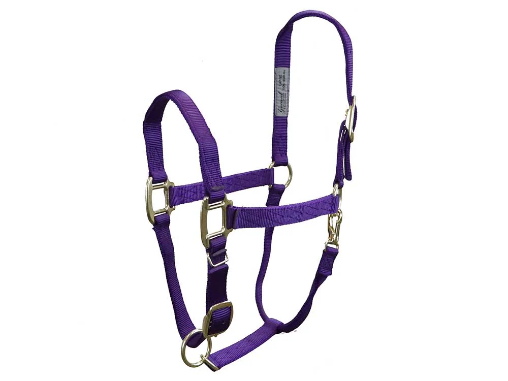 Halter-purple.png
