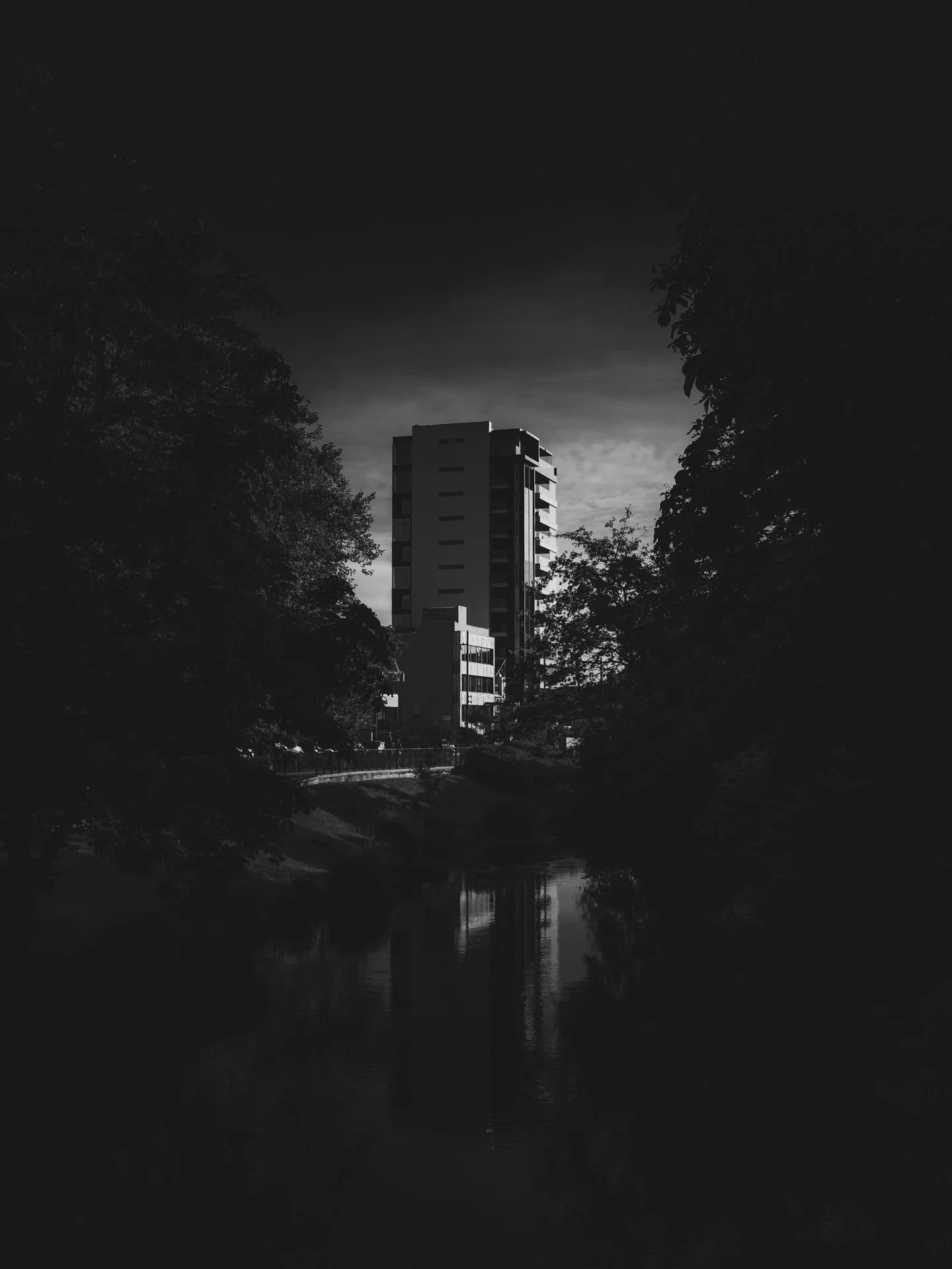 DSCF8308.jpg