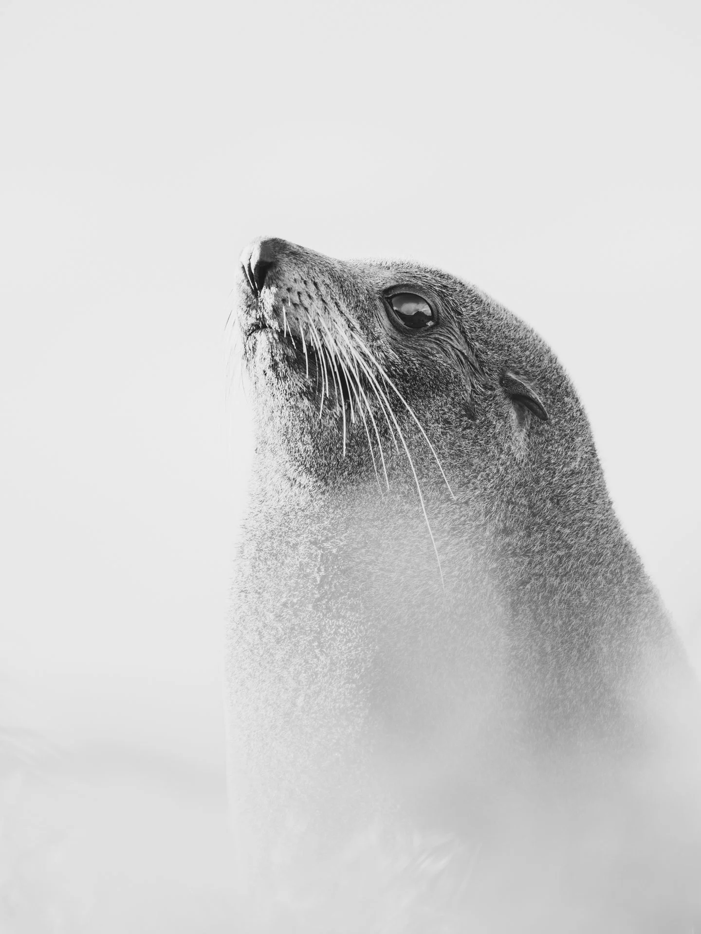 DSCF3999-2.jpg