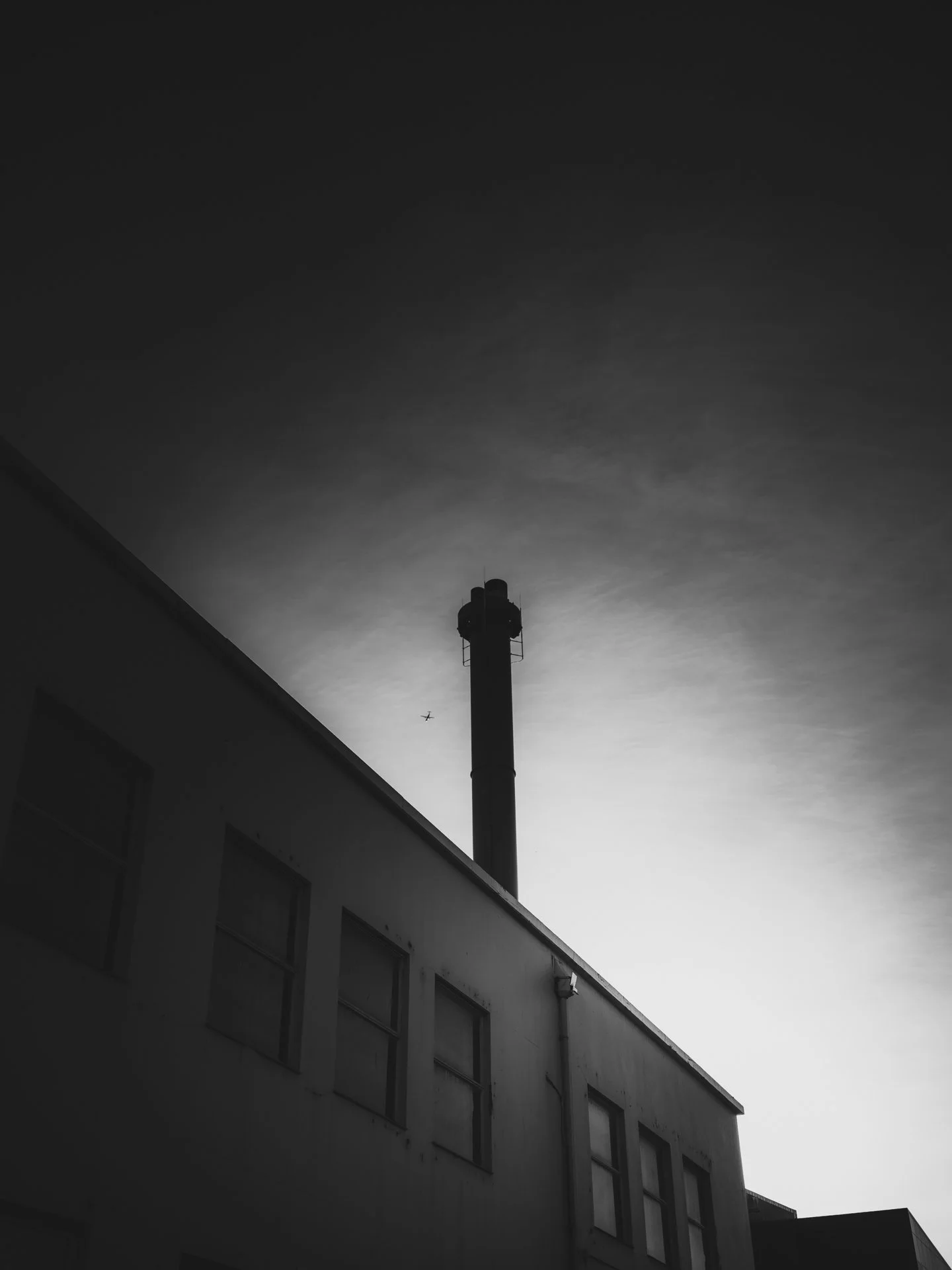 DSCF8334.jpg