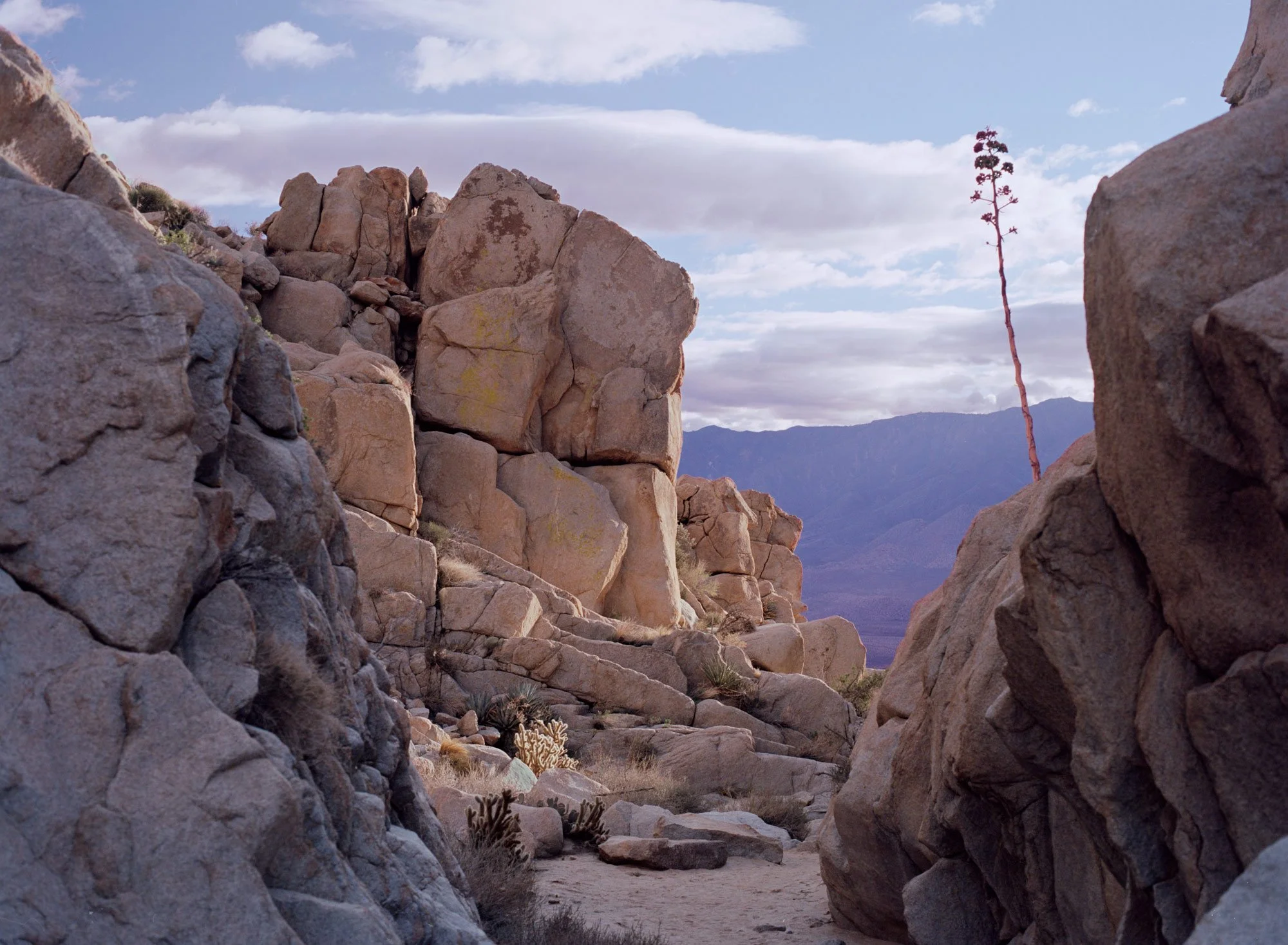 Anza-Borrego - Smuggler's Canyon - Limited Edition Print
