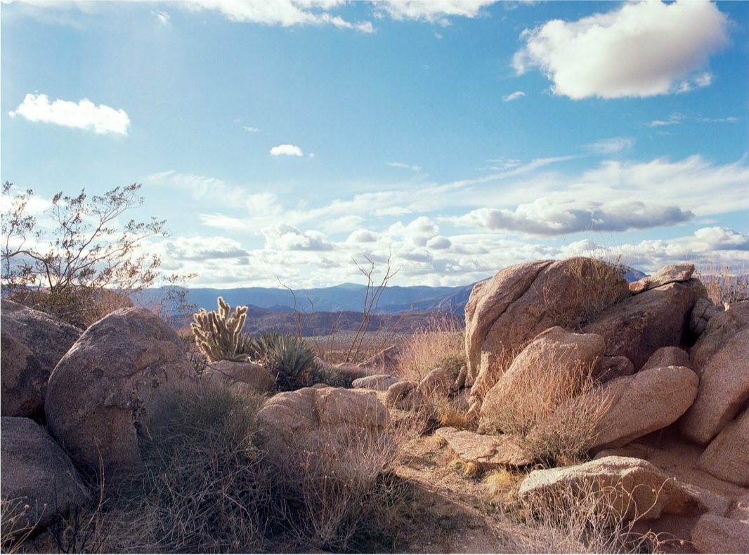 Anza-Borrego View - Limited Edition Print