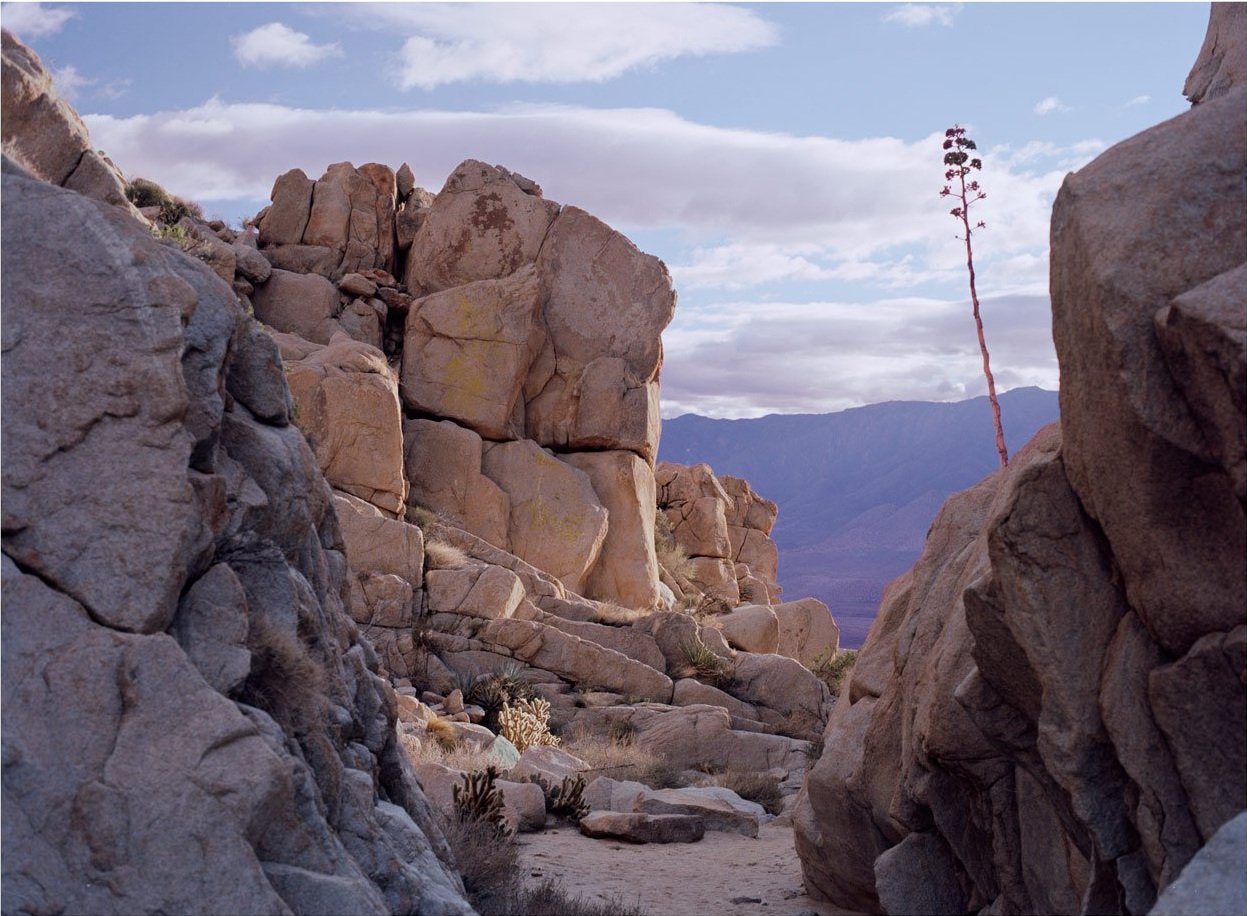 Anza-Borrego - Smuggler's Canyon - Limited Edition Print